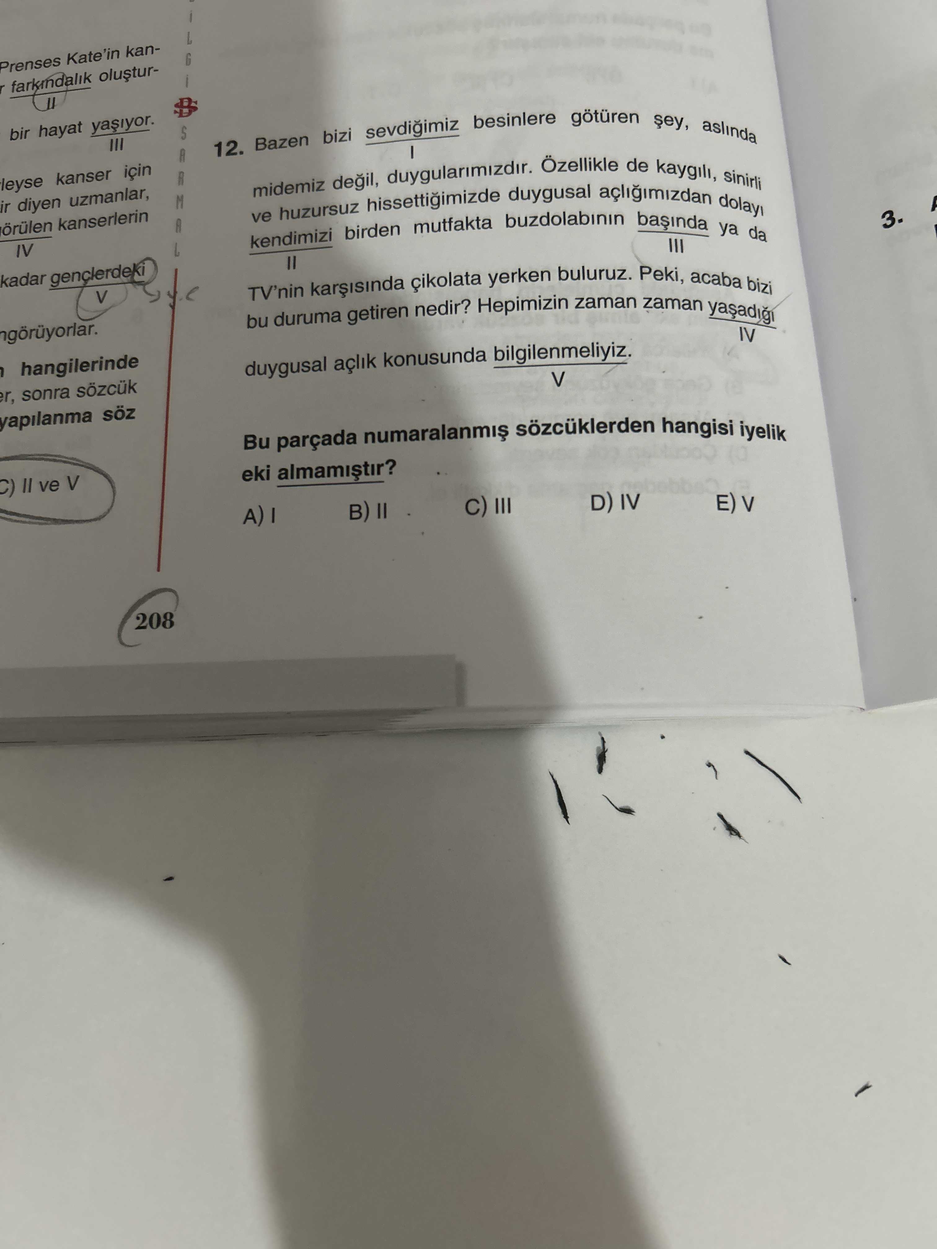 Türkçe (11. Sınıf)