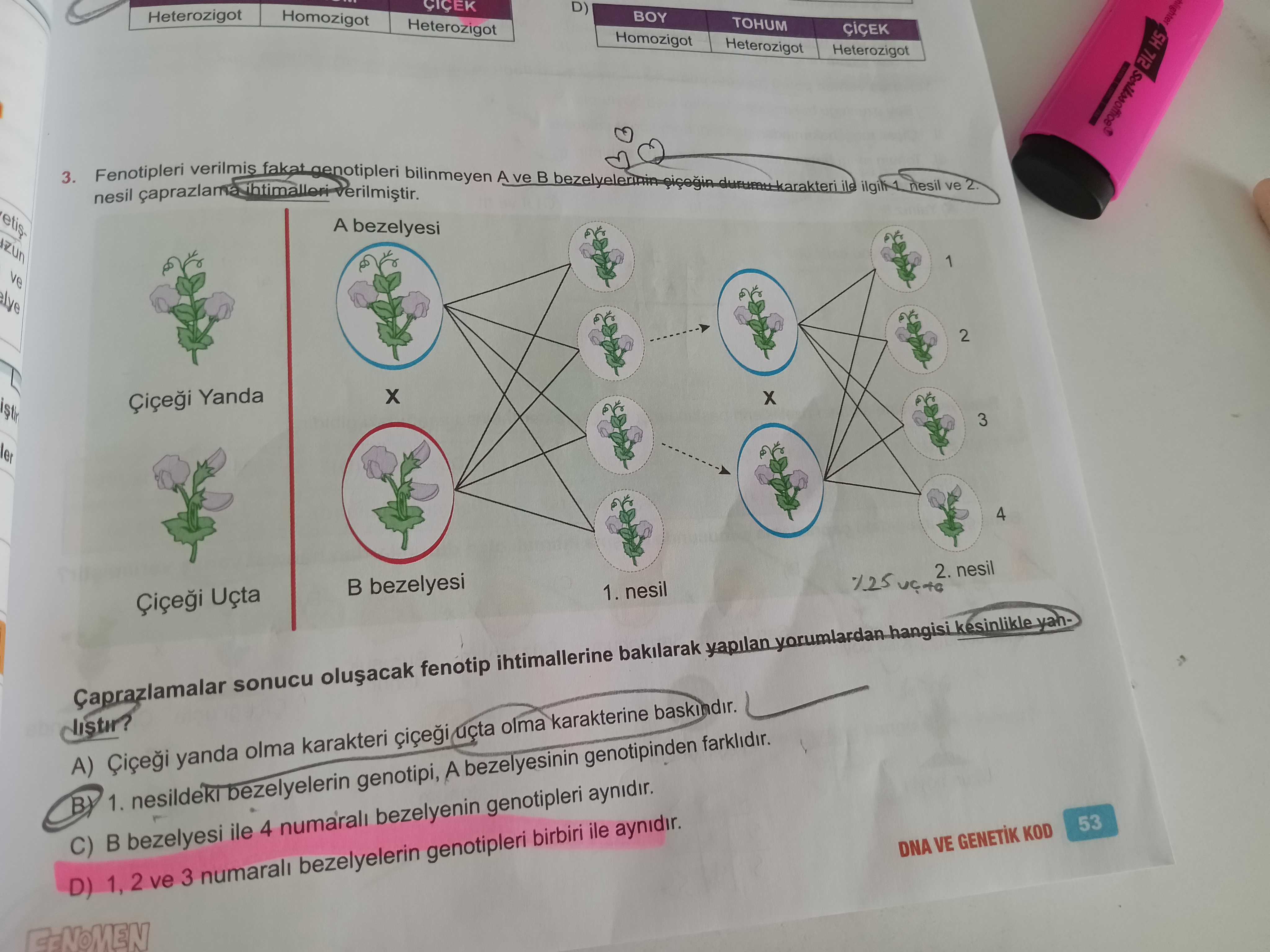 Fen Bilimleri (7. Sınıf)