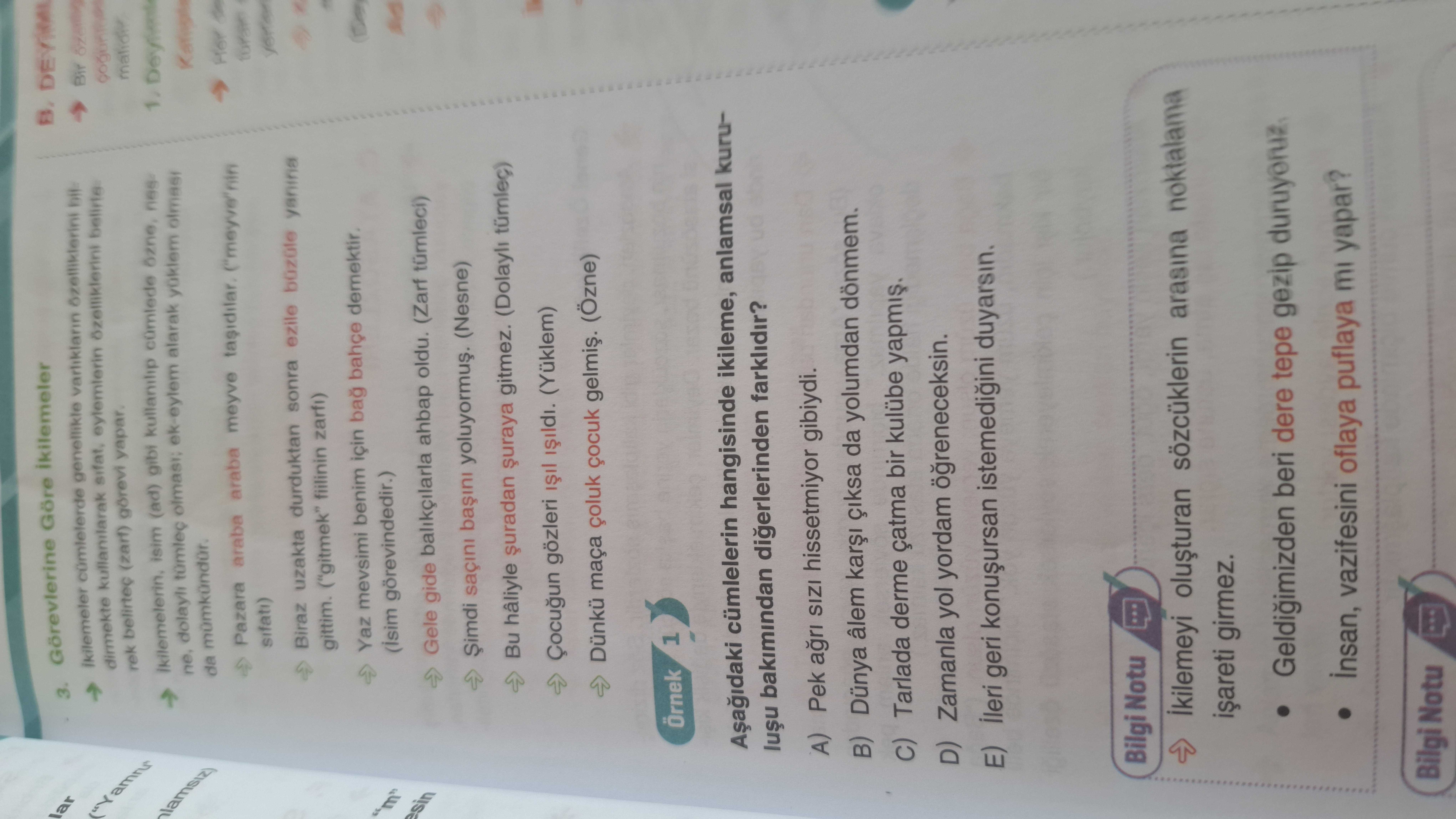 Türkçe (12. Sınıf)