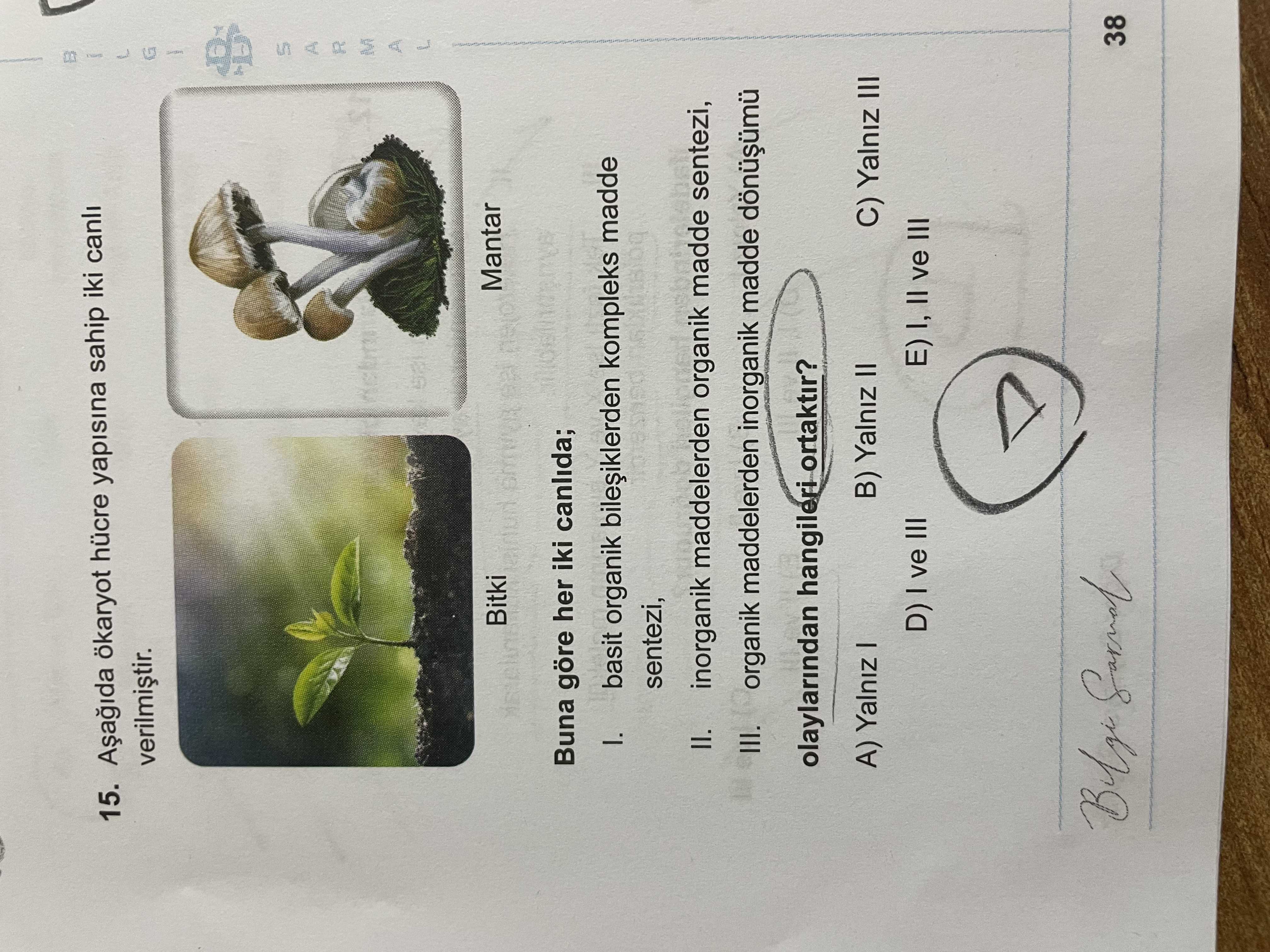 Aşağıda ökaryot hücre yapısına sahip iki canlı verilmiştir. Bitki Mantar Buna göre her iki canlıda