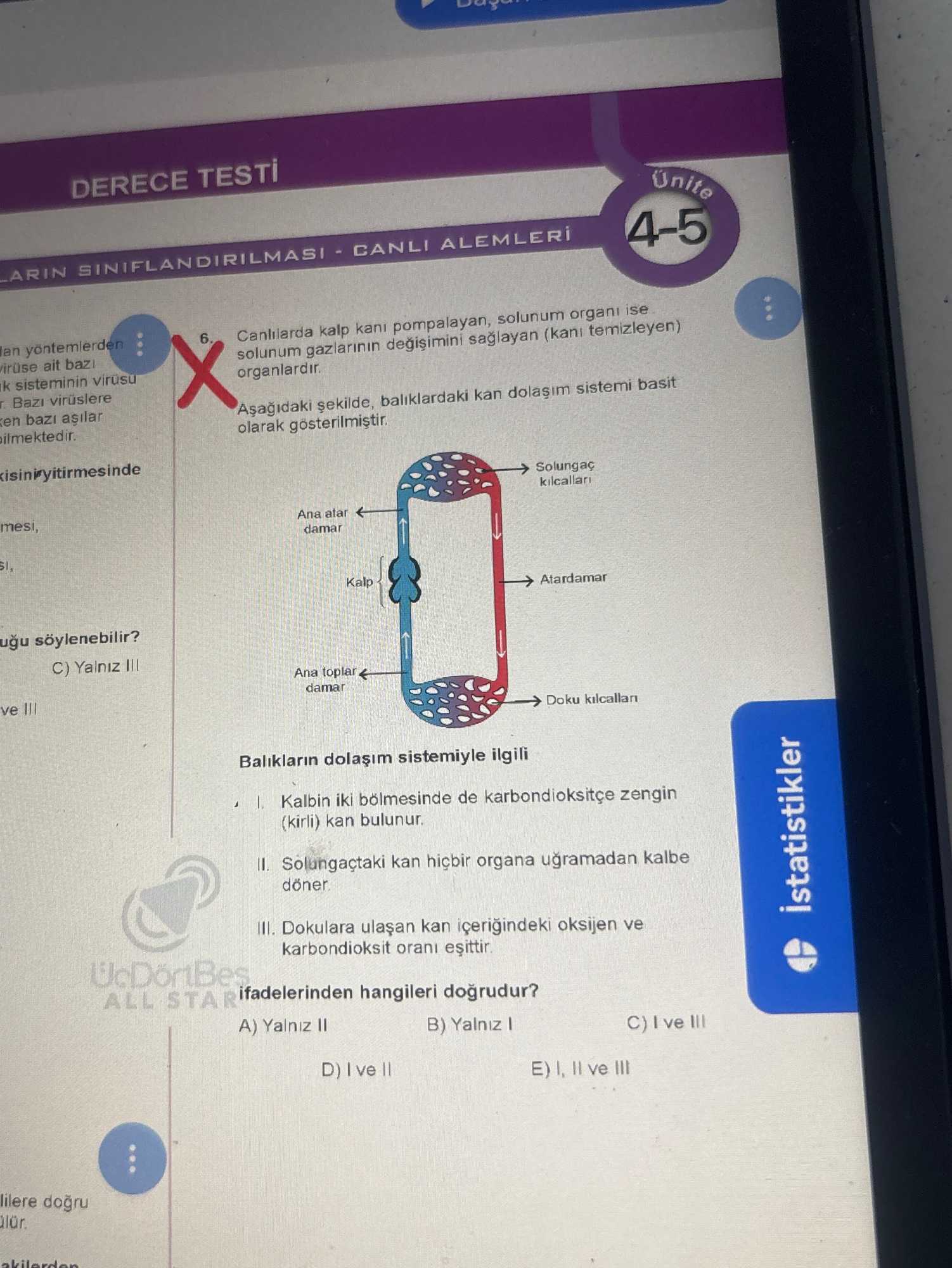 Canlılarda kalp kanı pompalayan, solunum organı ise solunum gazlarının değişimini sağlayan (kanı