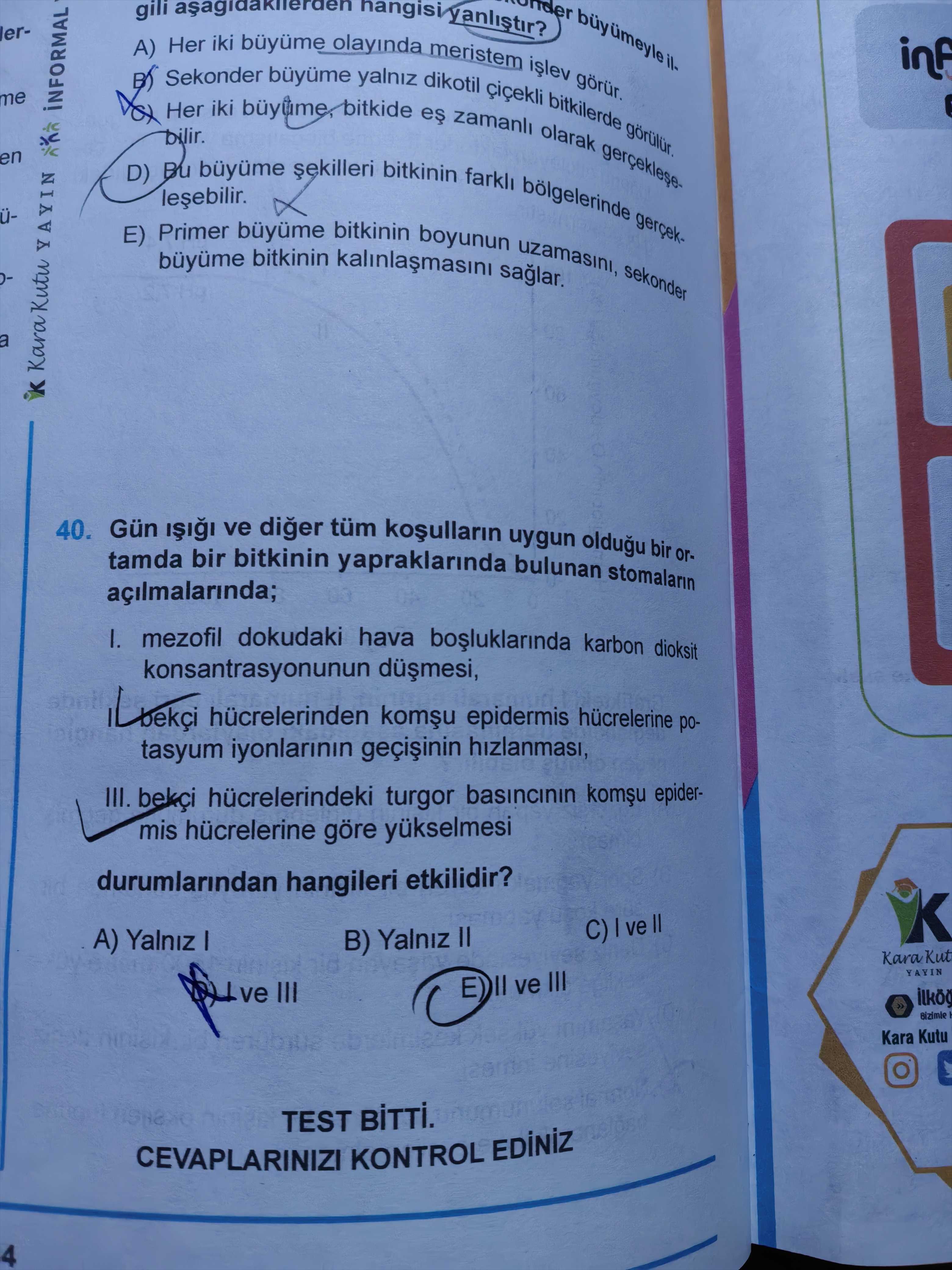 Gün ışığı ve diğer tüm koşulların uygun olduğu bir ortamda bir bitkinin yapraklarında bulunan