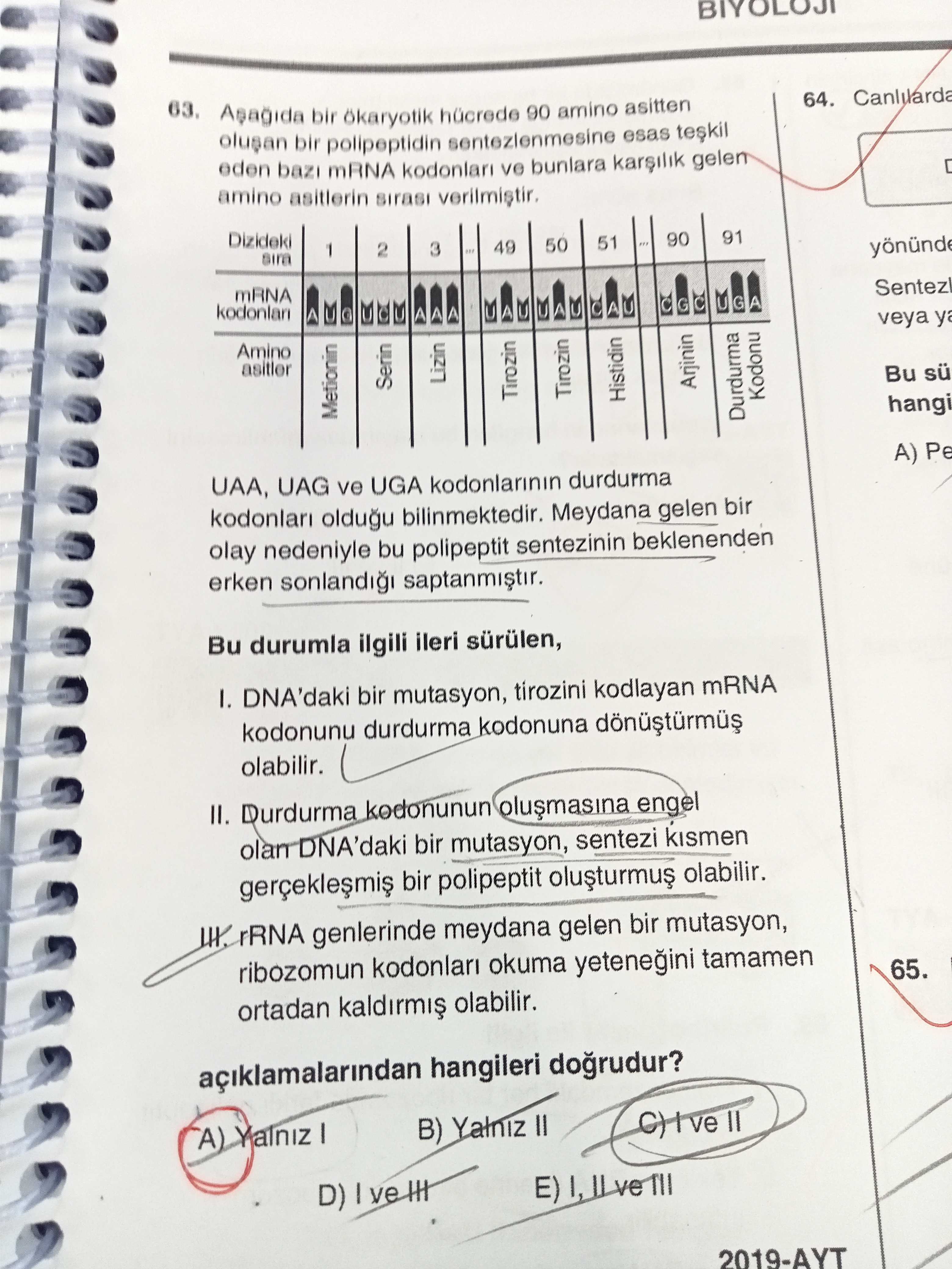 Aşağıda bir ökaryotik hücrede 90 amino asitten oluşan bir polipeptidin sentezlenmesine esas teşkil