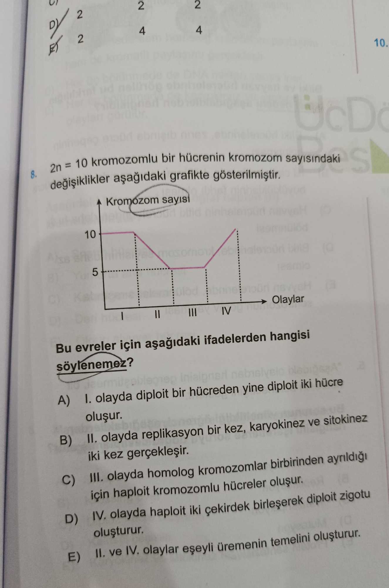 2n = 10 kromozomlu bir hücrenin kromozom sayısındaki değişiklikler aşağıdaki grafikte