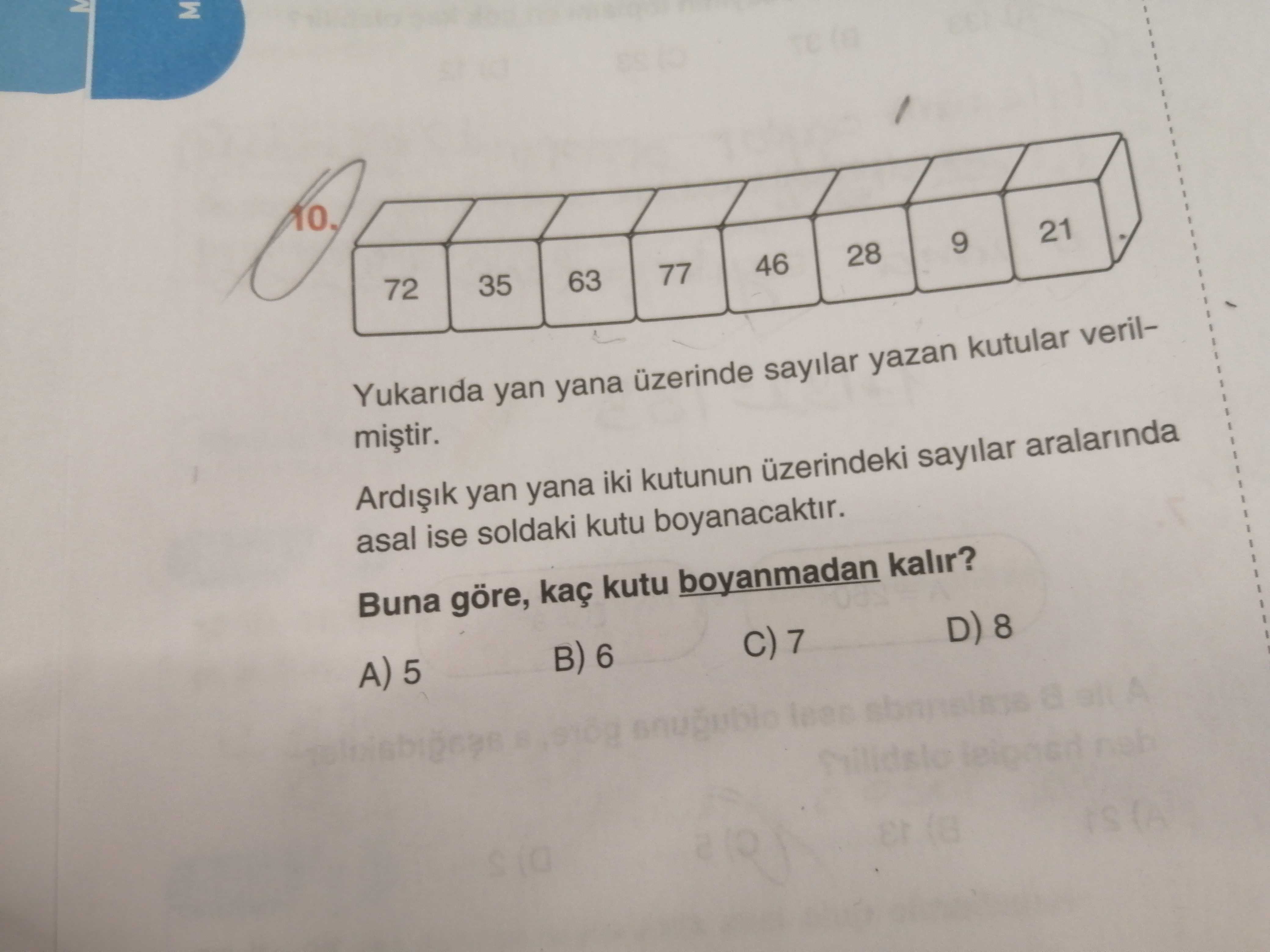 Matematik (8. Sınıf)