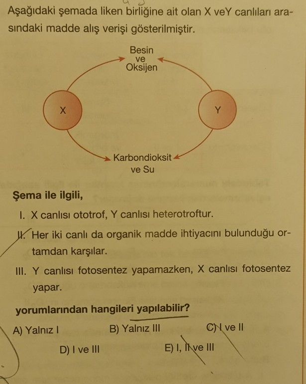 Aşağıdaki şemada liken birliğine ait olan X veY canlıları arasındaki madde alış verişi