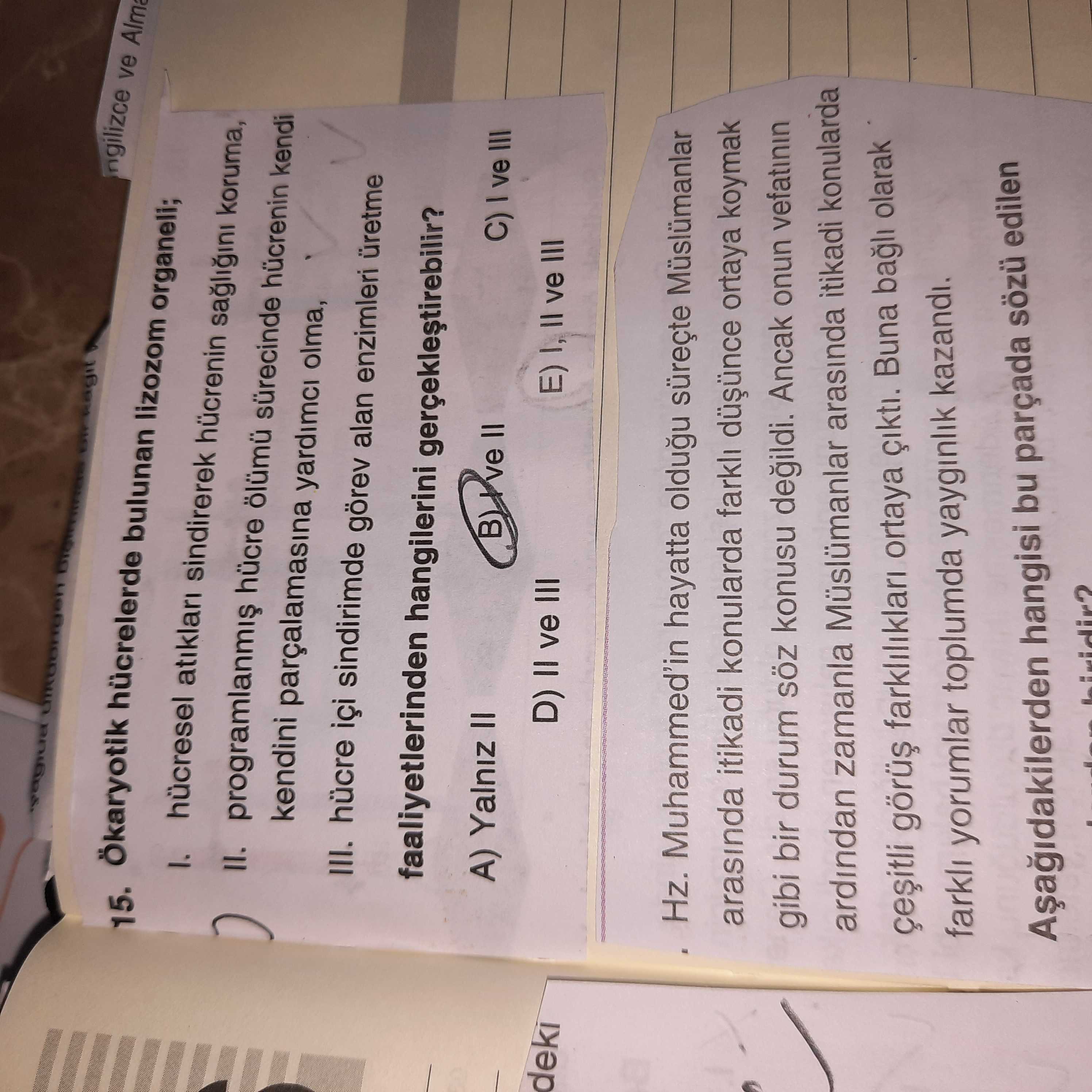 15. hücrelerde bulunan lizozom organeli; ngilizce ve atiklari sindirerek hücrenin koruma, II. hücre hücrenin kendi kendini yardimci olma, III. hücre içi sindirimde görev alan enzimleri üretme faaliyetlerinden hangilerini gerçeklestirebilir. A) Yalniz II ve II C) ve III deki D) II ve III E) II ve III Hz. Muhammed'in hayatta oldugu süreçte Müslümanlar arasinda itikadi konularda farkli ortaya koymak gibi bir durum konusu Ancak onun vefatinin ardindan zamanla Müslümanlar arasinda itikadi konularda farkliliklari ortaya Buna bagli olarak farkli yorumlar toplumda yayginlik kazandi. hangisi bu parçada sözü edilen 15. hangisi bu parçada sözü edilen. ?? Model.Question.title