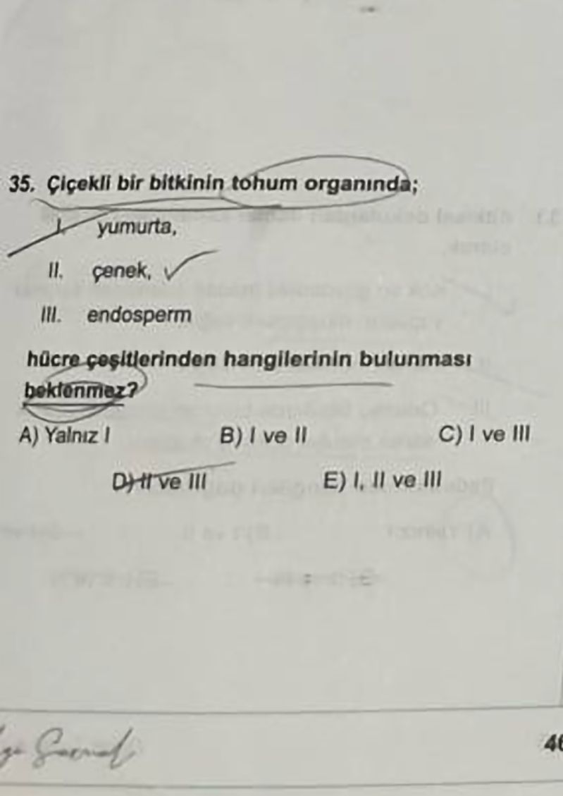 Çiçekli bir bitkinin tohum organında; I. yumurta, II. çenek, III. endosperm hücre çeşitlerinden