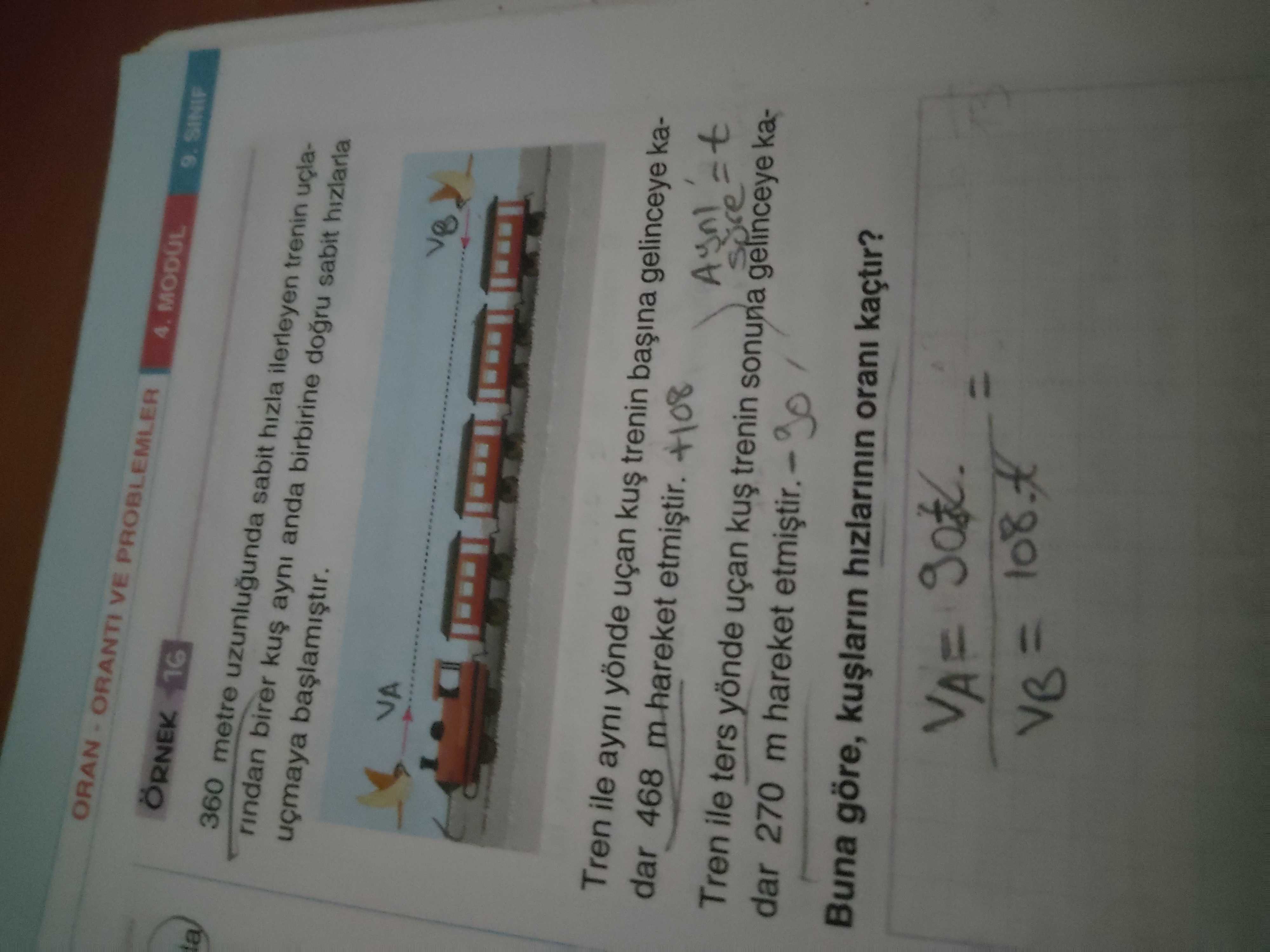 Matematik (12. Sınıf)