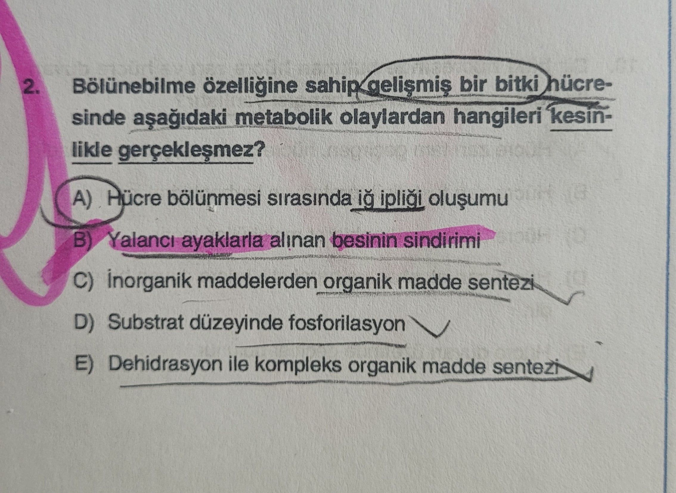 Bölünebilme özelliğine sahip gelişmiş bir bitki hücresinde aşağıdaki metabolik olaylardan hangileri