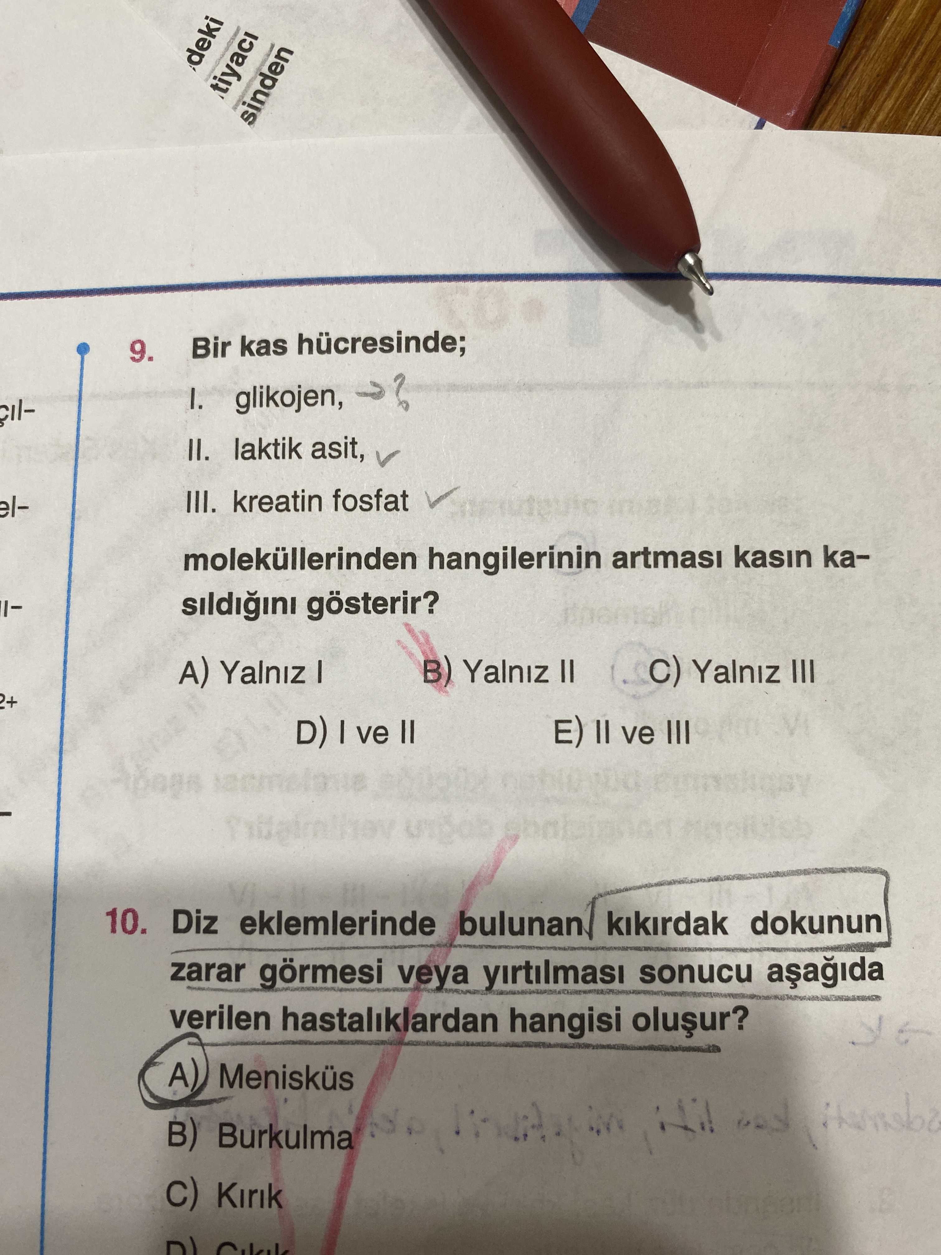 Bir kas hücresinde; I. glikojen, II. laktik asit, III. kreatin fosfat moleküllerinden hangilerinin