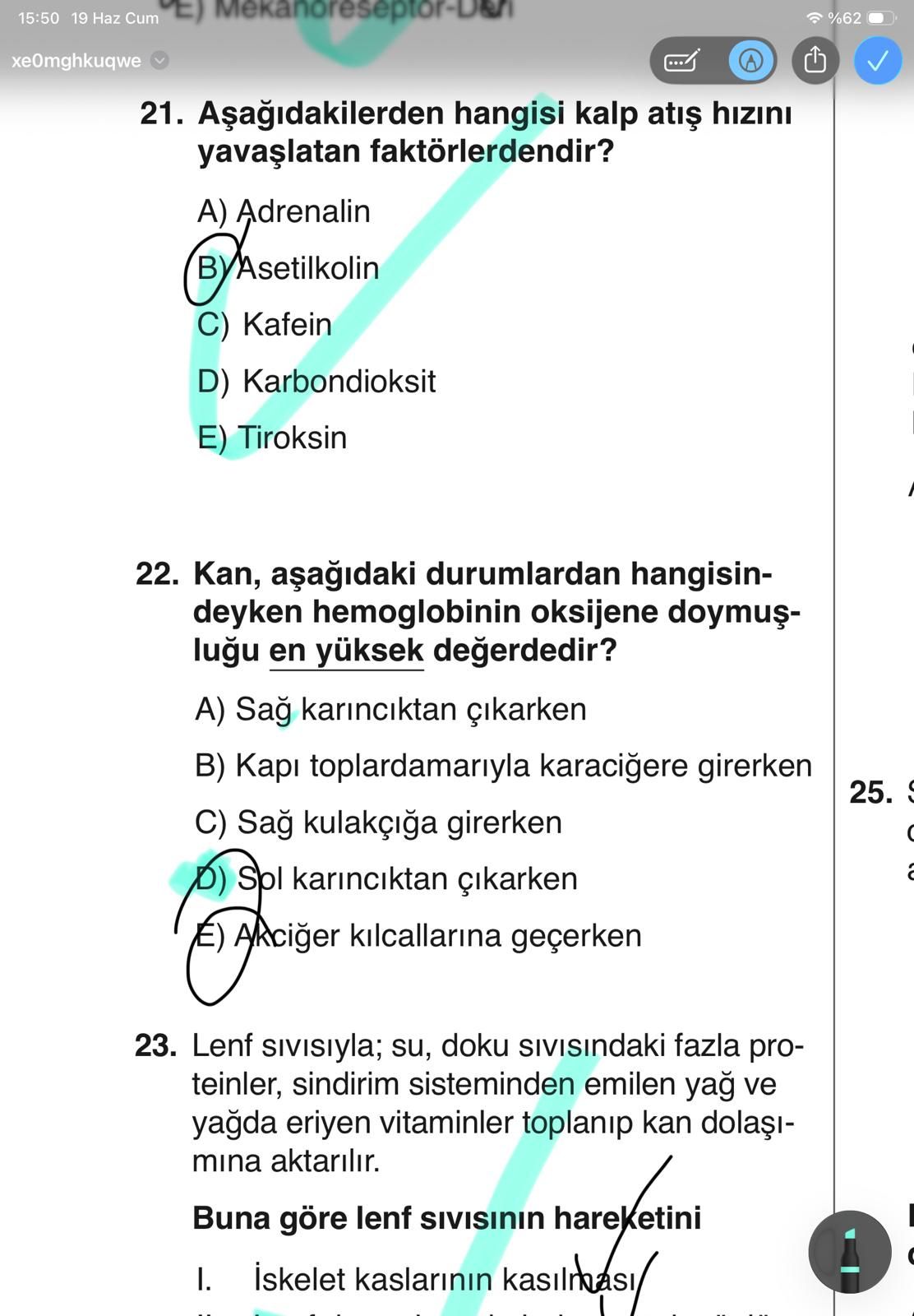 Aşağıdakilerden hangisi kalp atış hızını yavaşlatan faktörlerdendir?