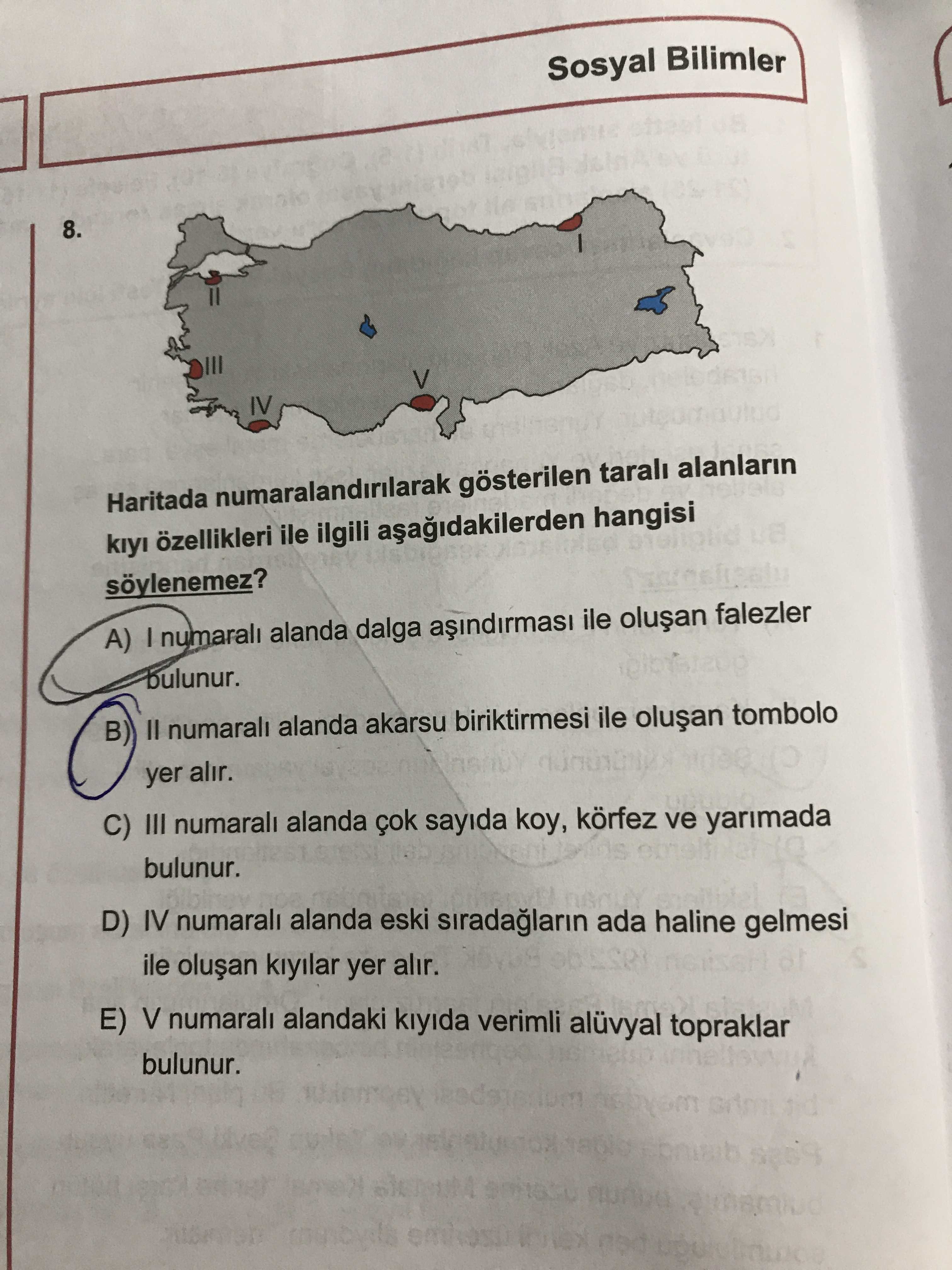 Haritada numaralandırılarak gösterilen taralı alanların kıyı özellikleri ile ilgili aşağıdakilerden