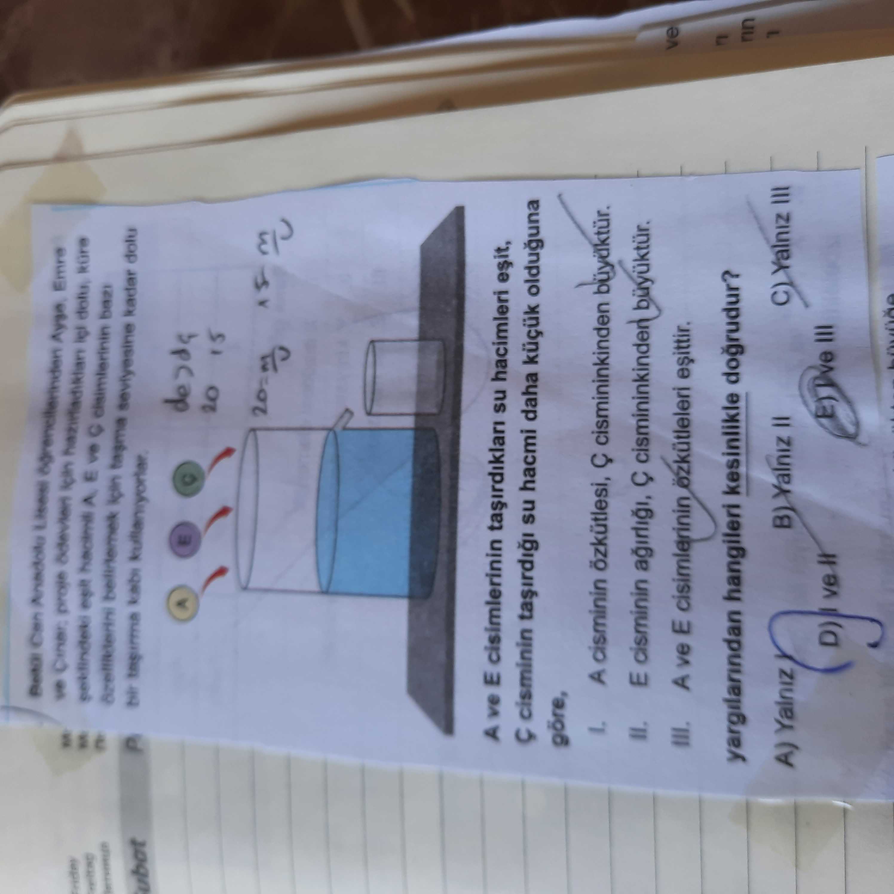 Betül Can Anadolu Lisesi öğrencilerinden Ayşe, Emre ve Çınar, proje ödevleri için hazırladıkları içi