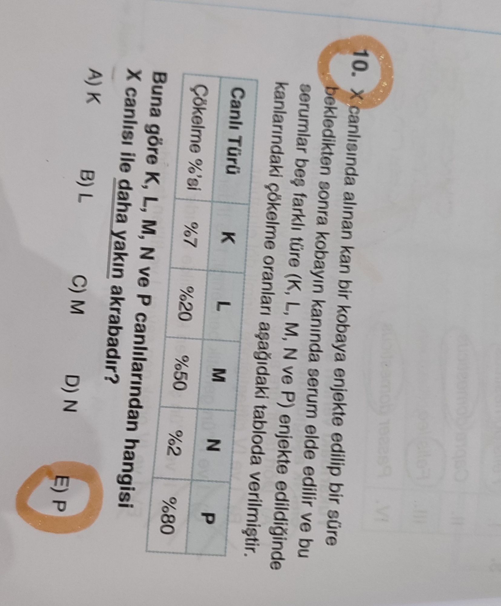 X canlısında alınan kan bir kobaya enjekte edilip bir süre bekledikten sonra kobayin kanında serum