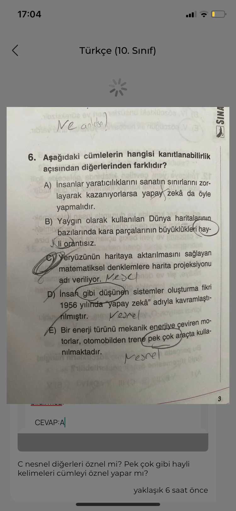 Türkçe (10. Sınıf)