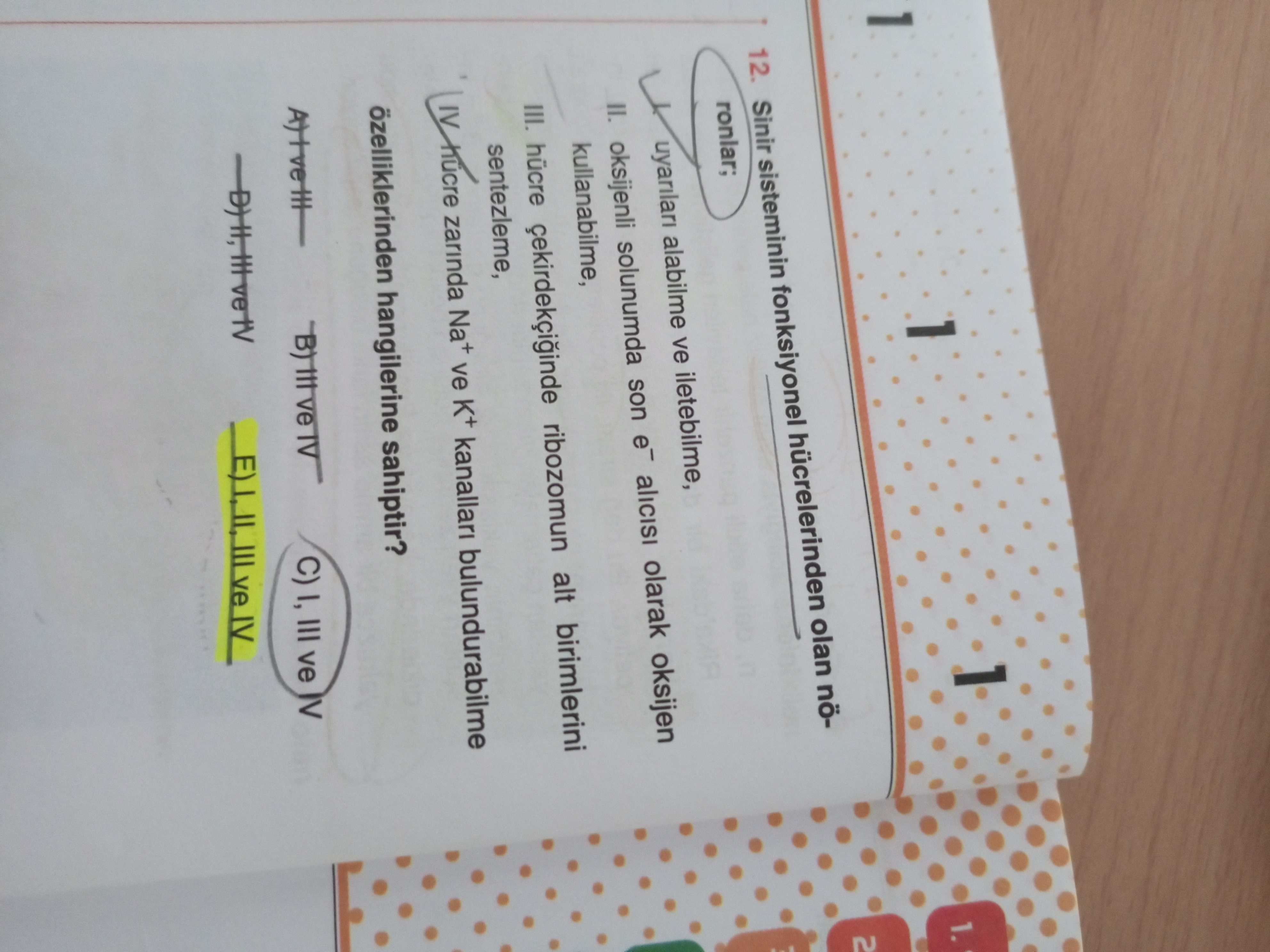 Sinir sisteminin fonksiyonel hücrelerinden olan nöronlar; I. uyarıları alabilme ve iletebilme, II