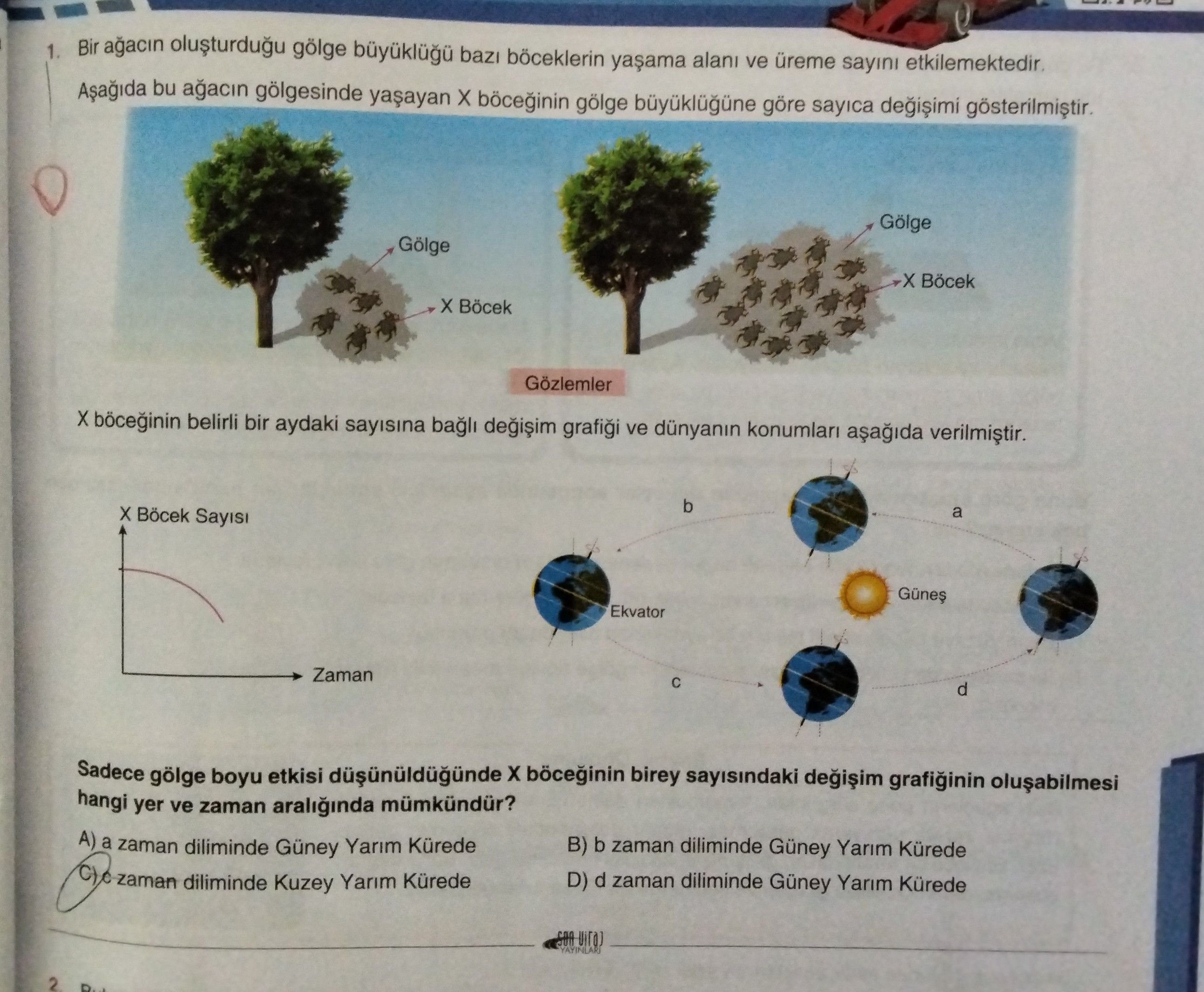 Bir ağacın oluşturduğu gölge büyüklüğü bazı böceklerin yaşama alanı ve üreme sayını etkilemektedir