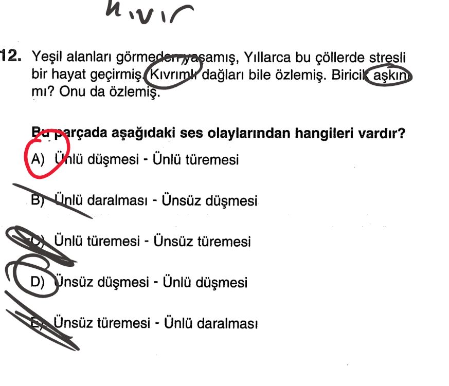 Yeşil alanları görmeden yaşamış, Yıllarca bu çöllerde stresli bir hayat geçirmiş. Kıvrımlı dağları