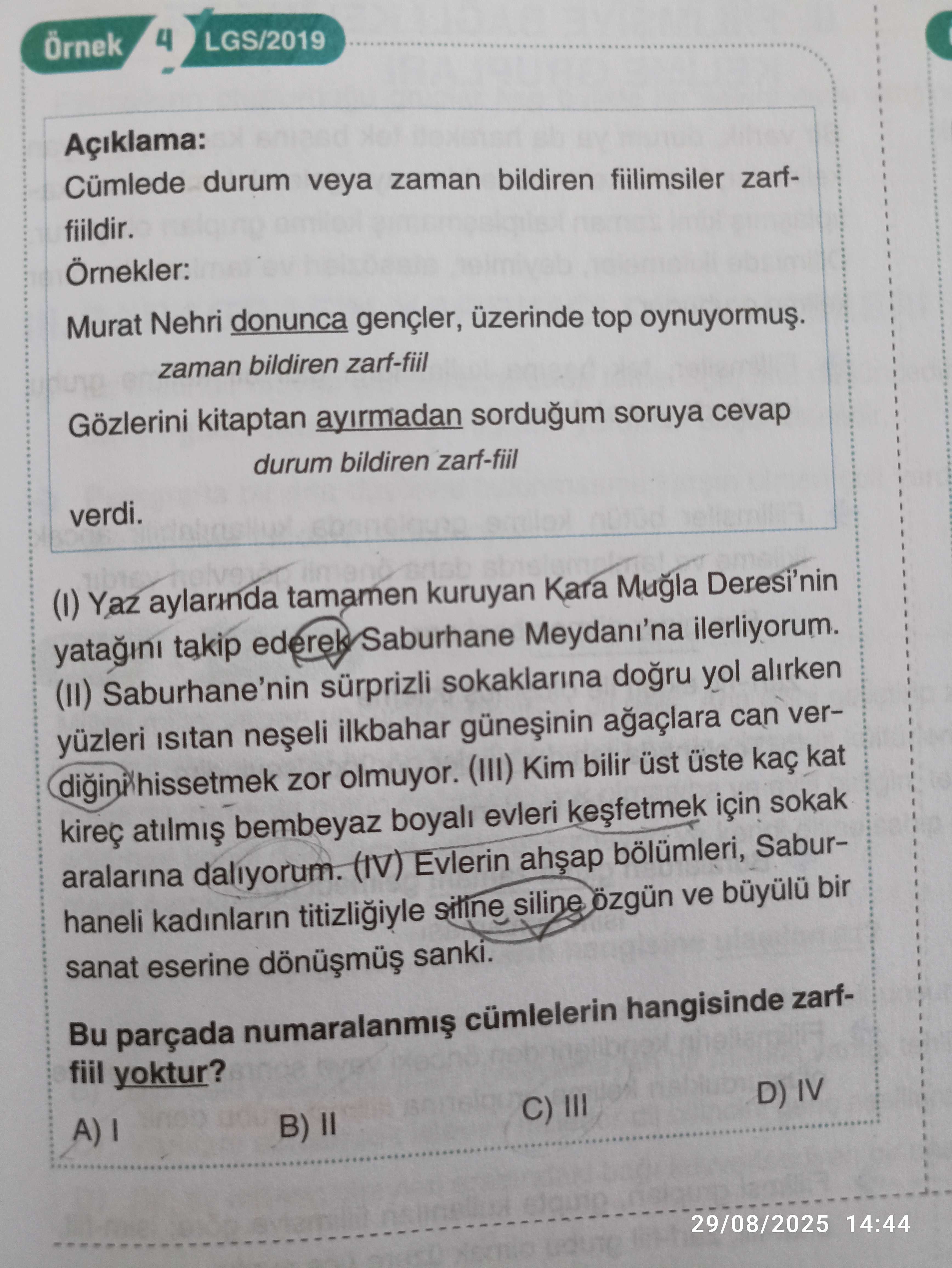 Türkçe (8. Sınıf)