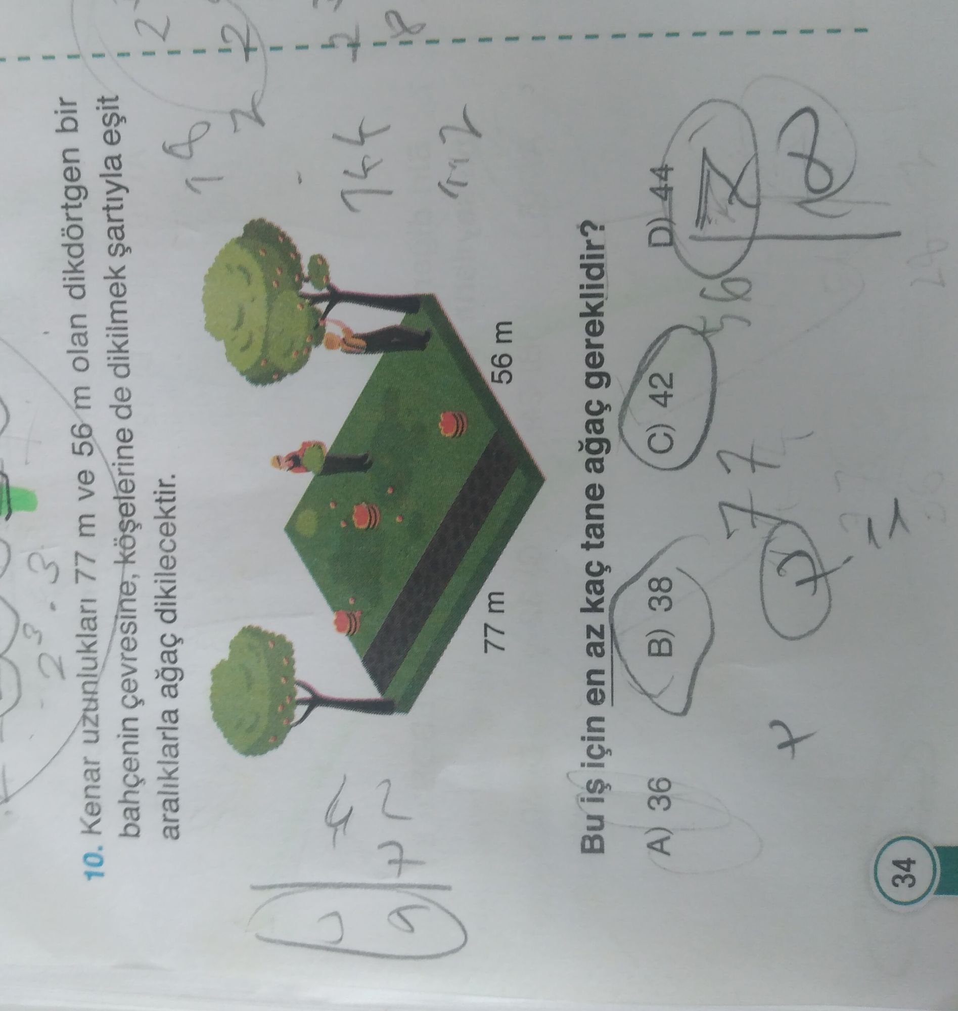 Kenar uzunlukları 77 m ve 56 m olan dikdörtgen bir bahçenin çevresine, köşelerine de dikilmek