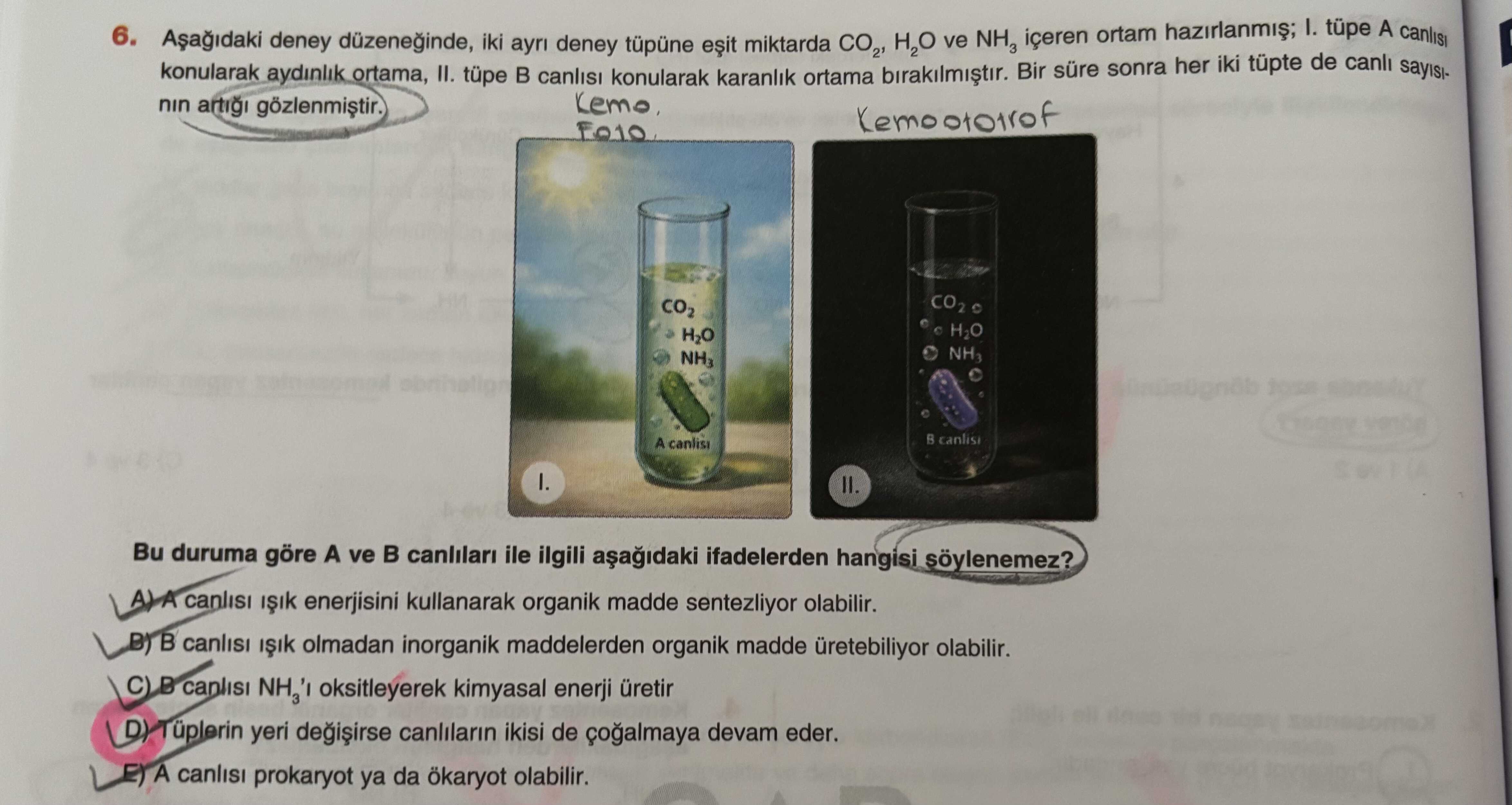 Aşağıdaki deney düzeneğinde, iki ayrı deney tüpüne eşit miktarda CO₂, H₂O ve NH₃ içeren ortam