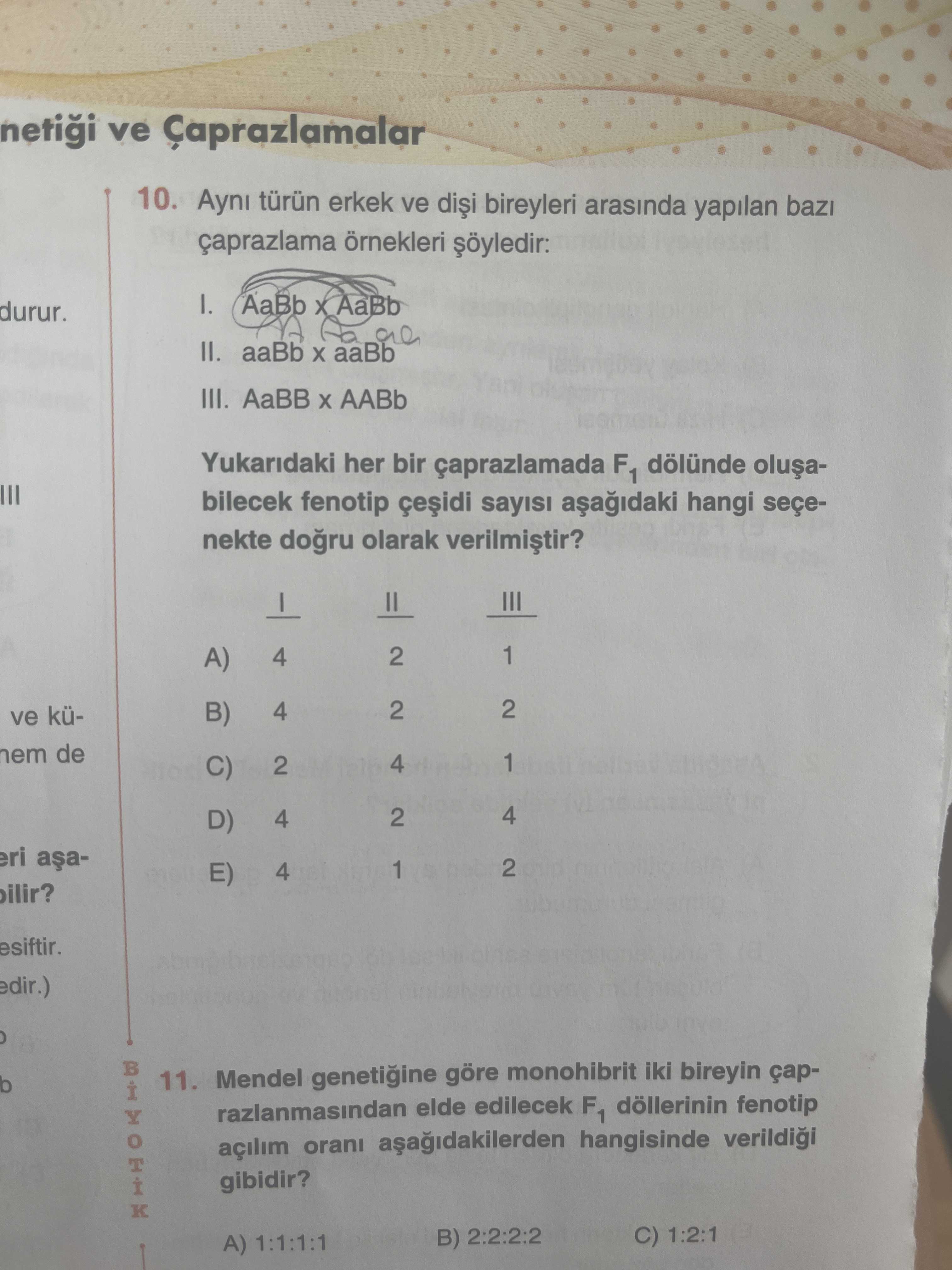 Biyoloji (12. Sınıf)