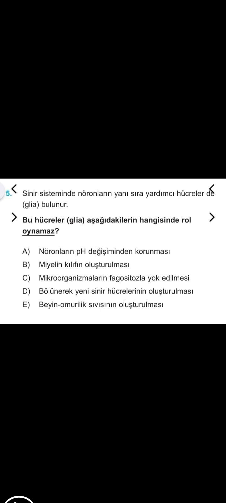 Biyoloji (11. Sınıf)
