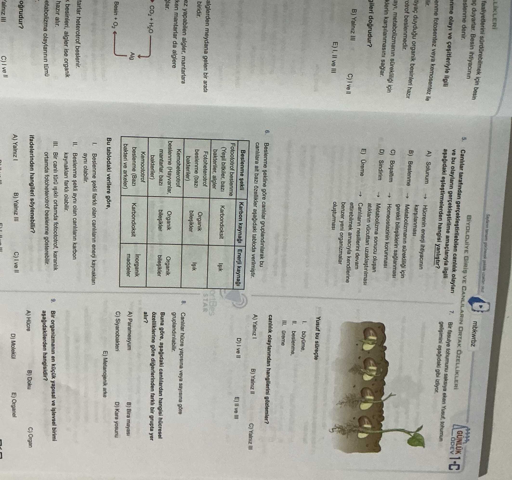 Canlılar tarafından gerçekleştirilebilen canlılık olayları ve bu olayların gerçekleştirilme