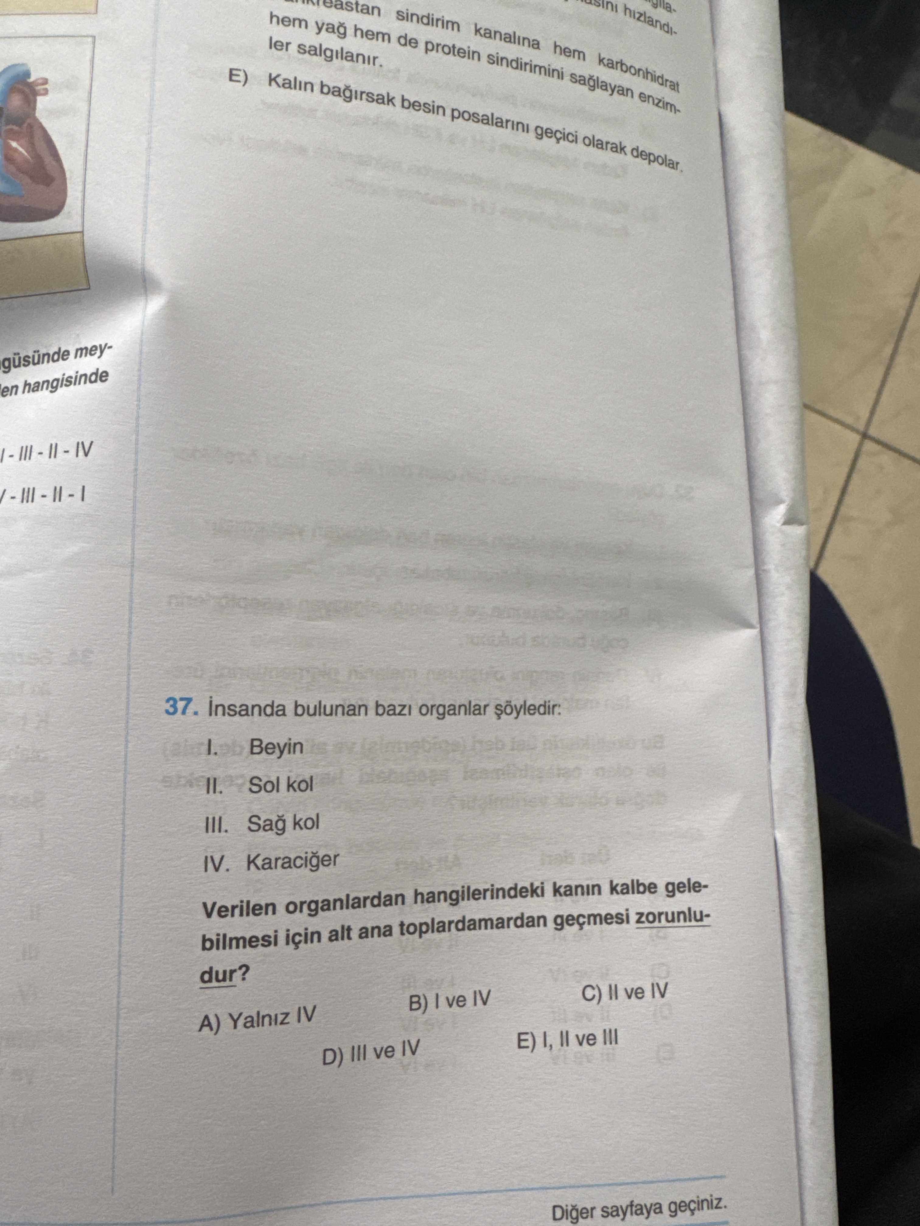 İnsanda bulunan bazı organlar şöyledir: I. Beyin II. Sol kol III. Sağ kol IV. Karaciğer Verilen organlardan hangilerindeki kanın