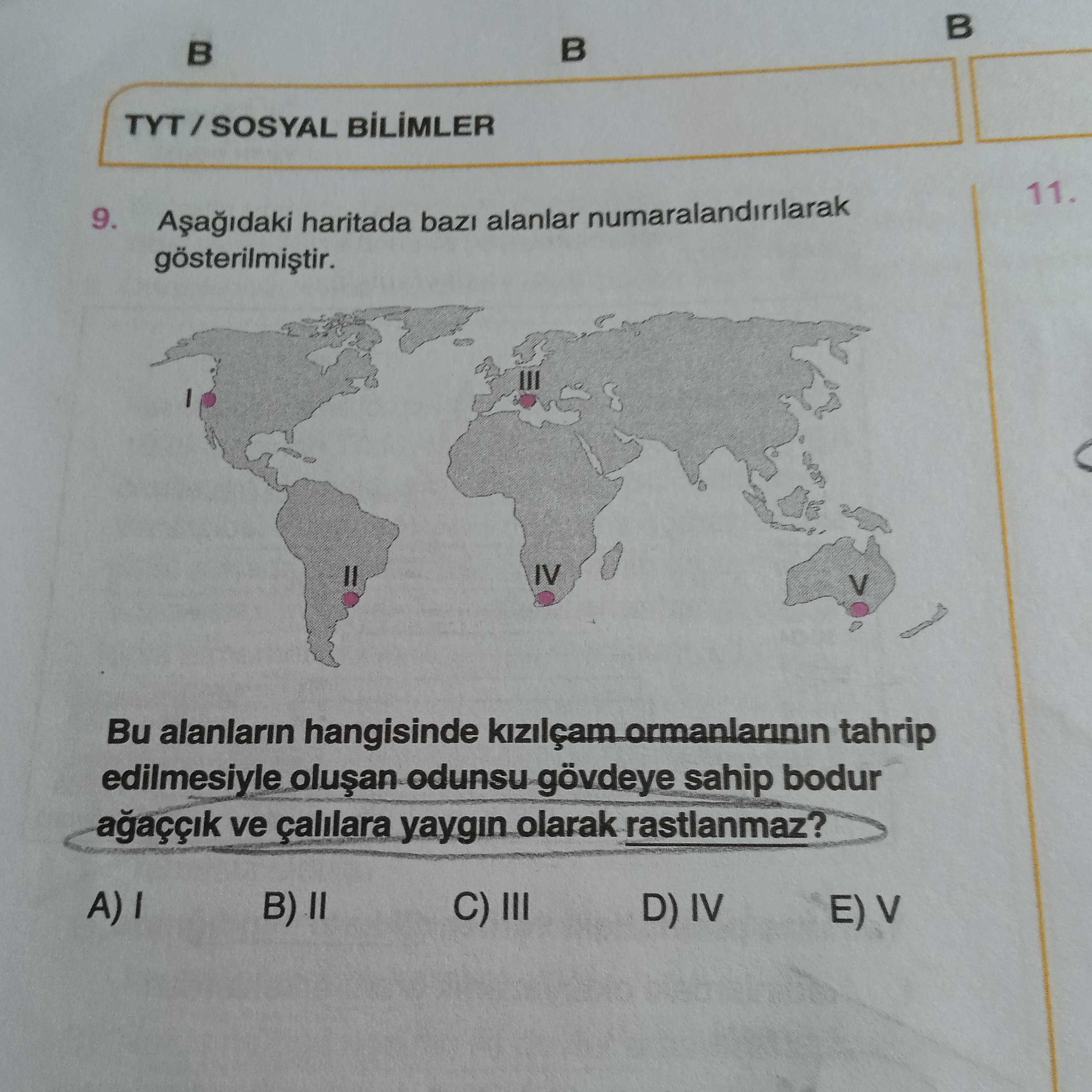 Aşağıdaki haritada bazı alanlar numaralandırılarak gösterilmiştir. Bu alanların hangisinde kızılçam