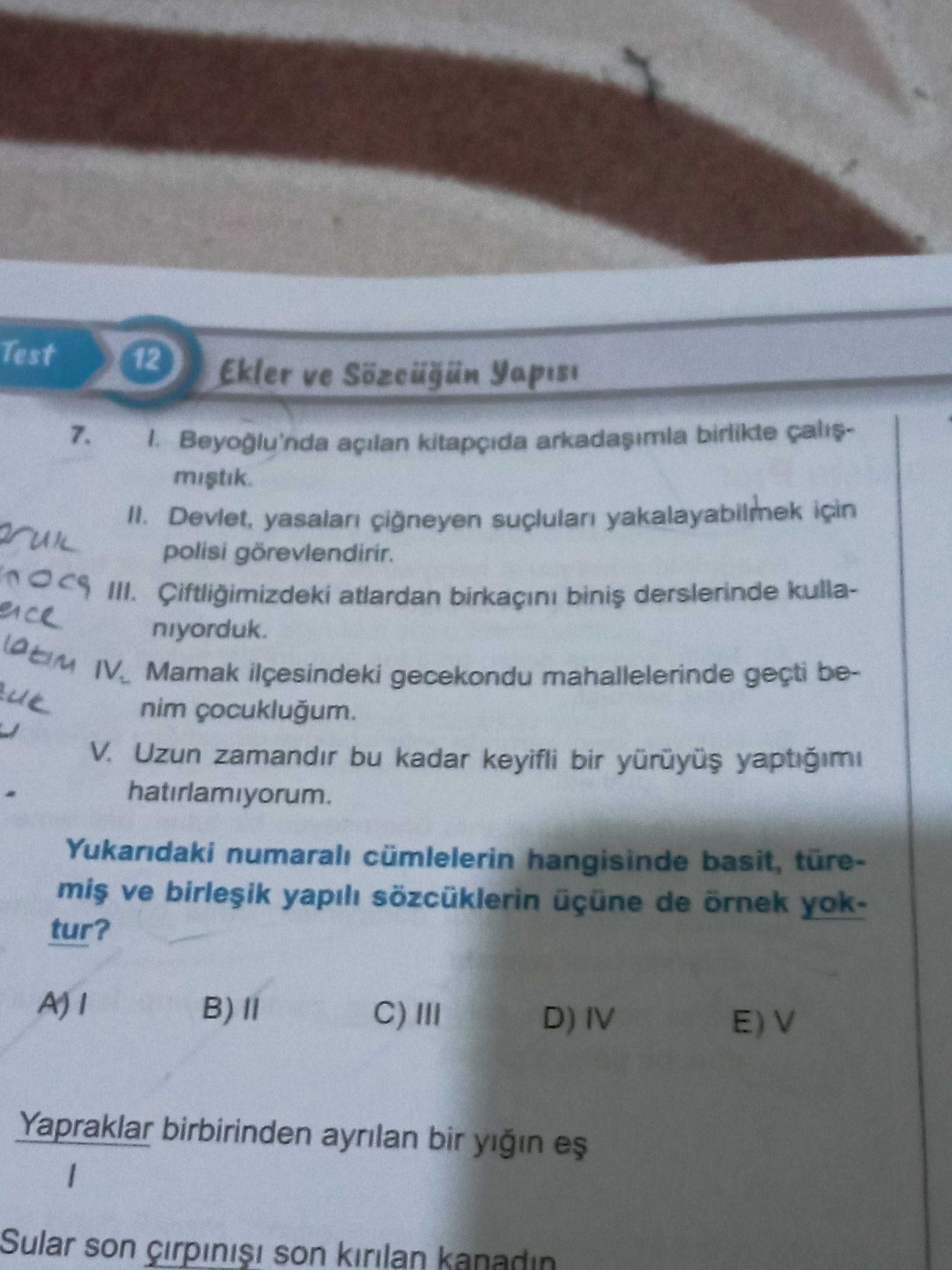 Türkçe (Mezun)