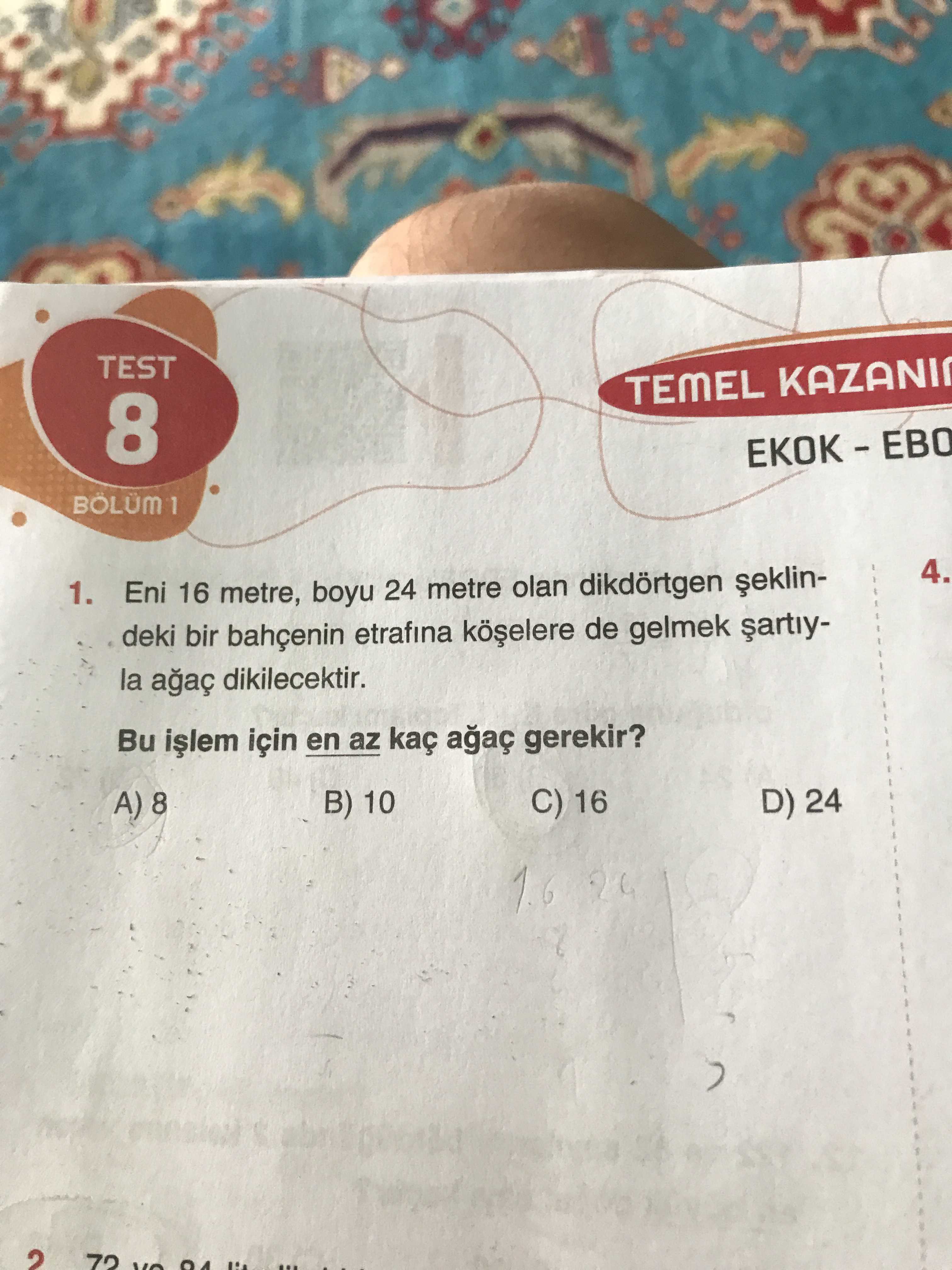 Matematik (8. Sınıf)