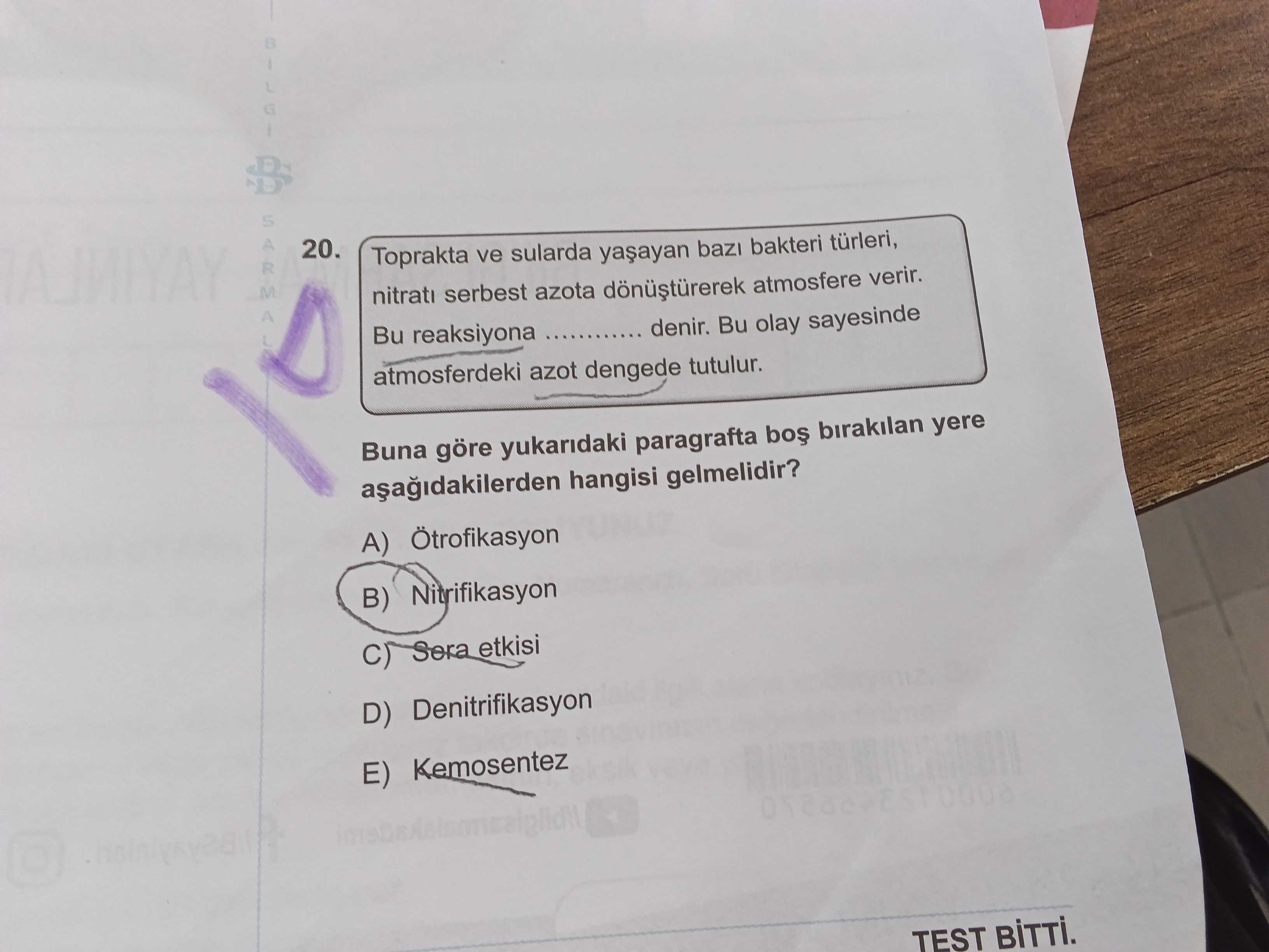 Toprakta ve sularda yaşayan bazı bakteri türleri, nitratı serbest azota dönüştürerek atmosfere