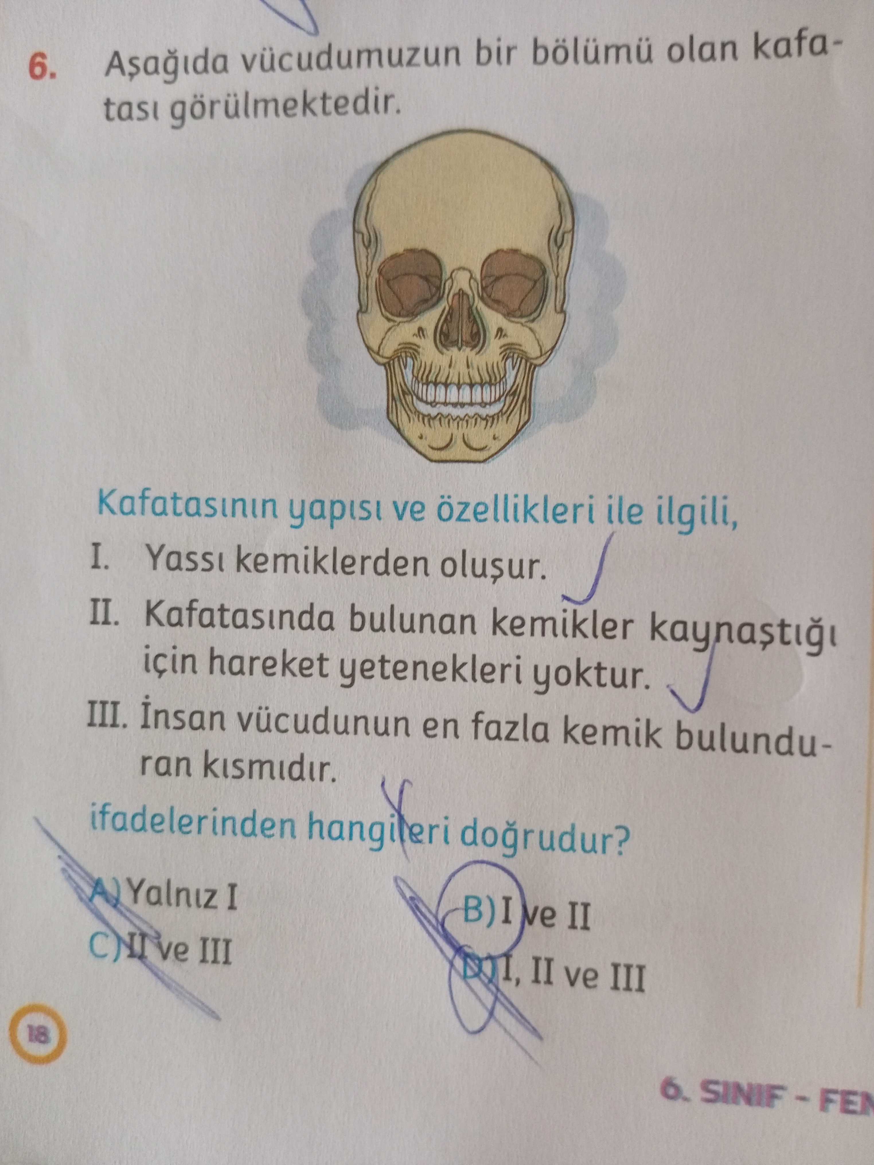 Fen Bilimleri (6. Sınıf)