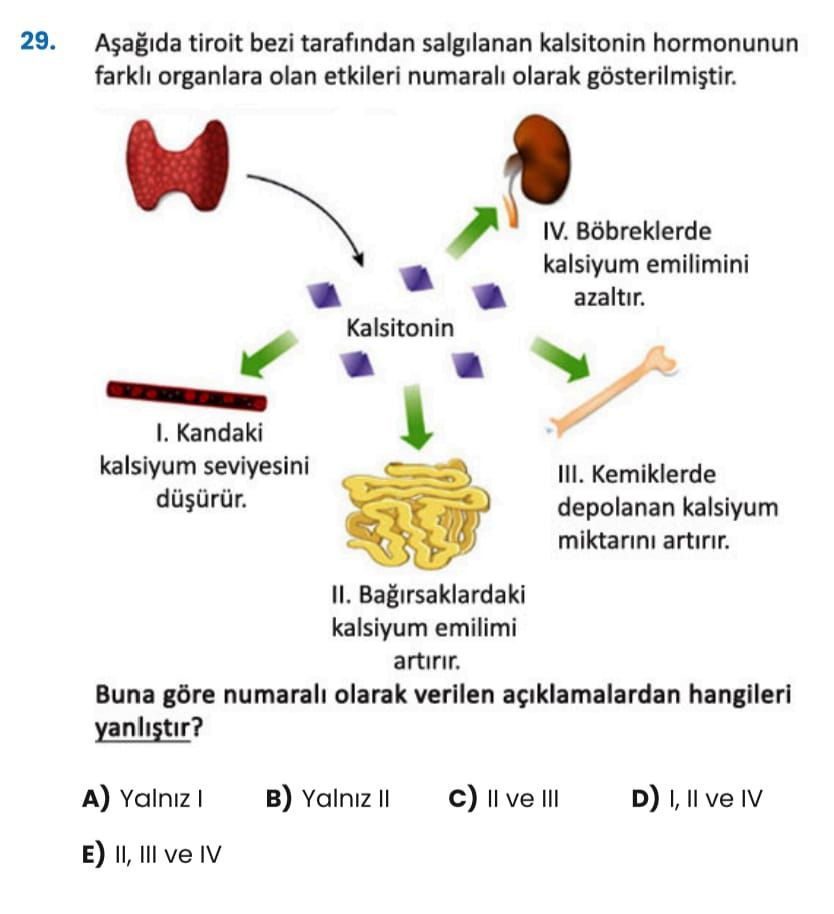 29. tiroit bezi tarafindan salgilanan kalsitonin hormonunun organlara olan etkileri numarali olarak gösterilmistir. IV. Böbreklerde kalsiyum emilimini azaltir. Kalsitonin I. Kandaki kalsiyum seviyesini III. Kemiklerde depolanan kalsiyum miktarini artirir. II. Bagirsaklardaki kalsiyum emilimi artirir. Buna göre numarali olarak verilen açiklamalardan hangileri yanlistir. Yalniz c) D) E) II, III ve IV 29. Yalniz c) D) E) II, III ve IV. ?? Model.Question.title