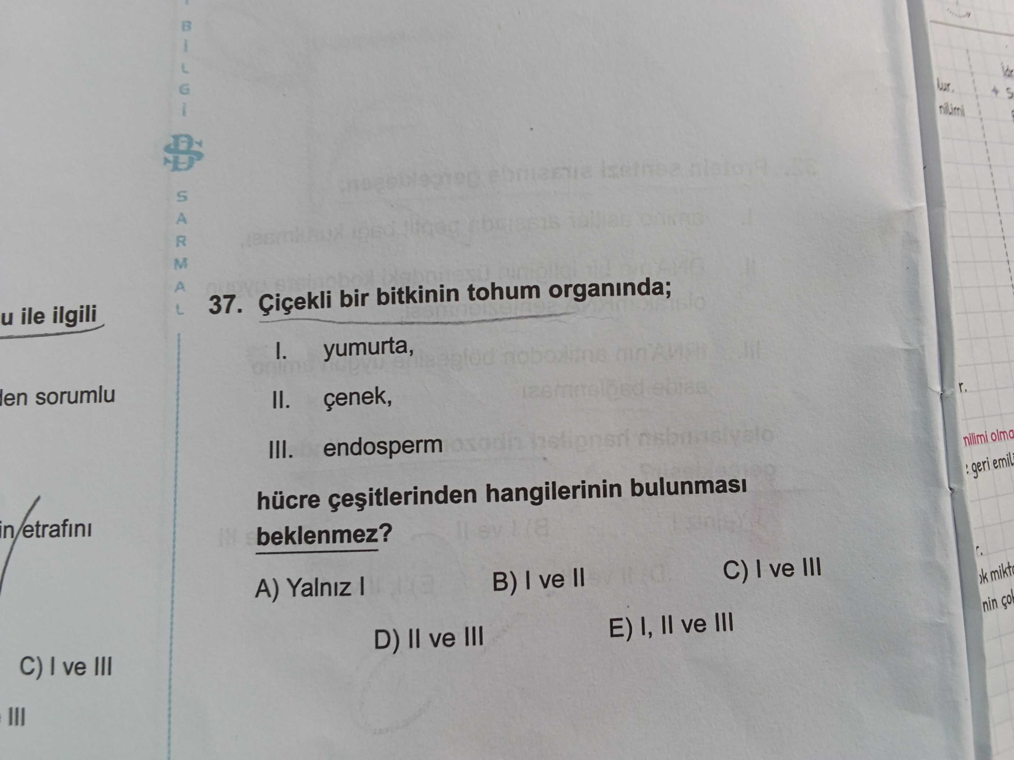 Çiçekli bir bitkinin tohum organında; I. yumurta, II. çenek, III. endosperm hücre çeşitlerinden