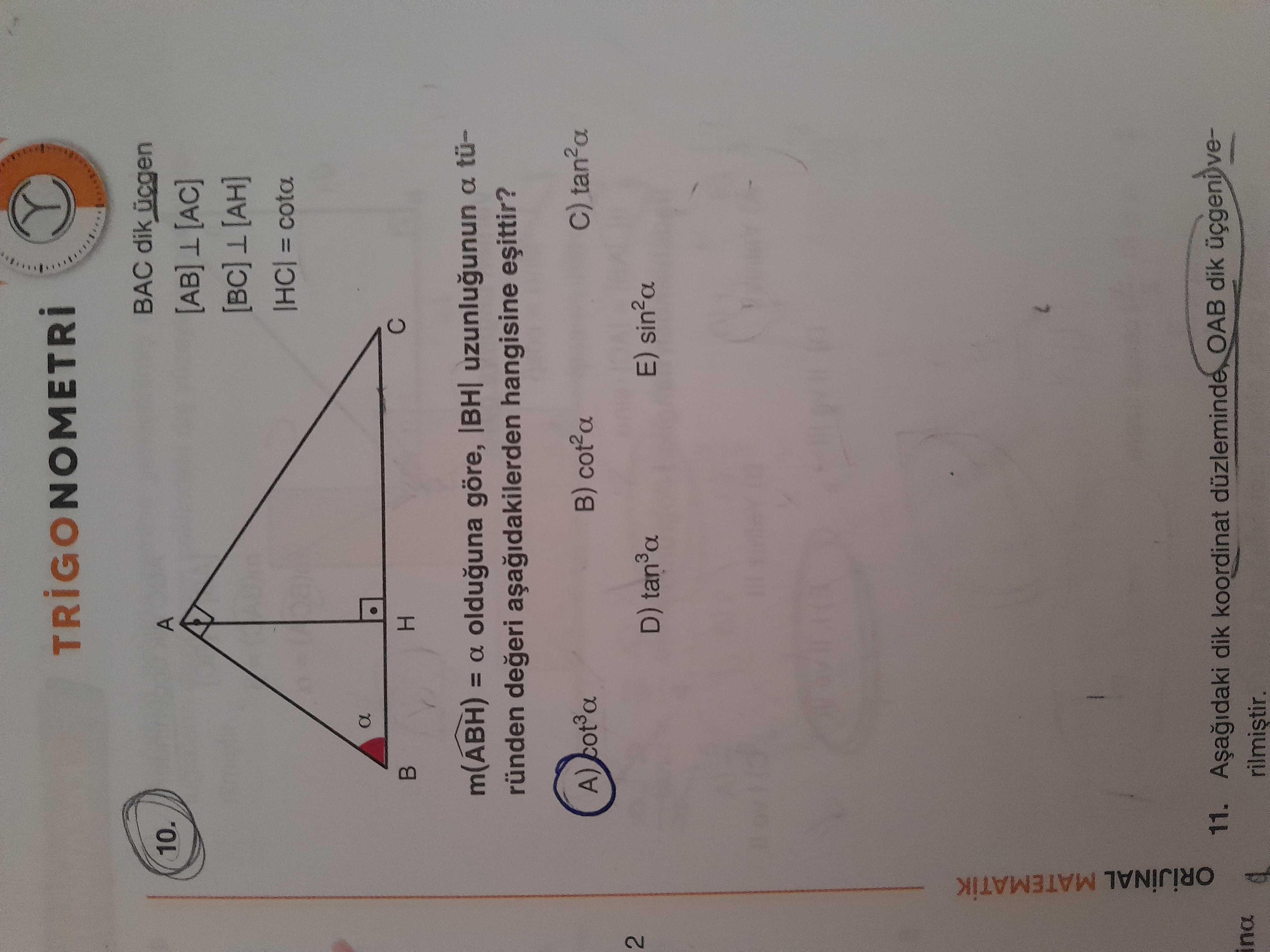 Matematik (11. Sınıf)