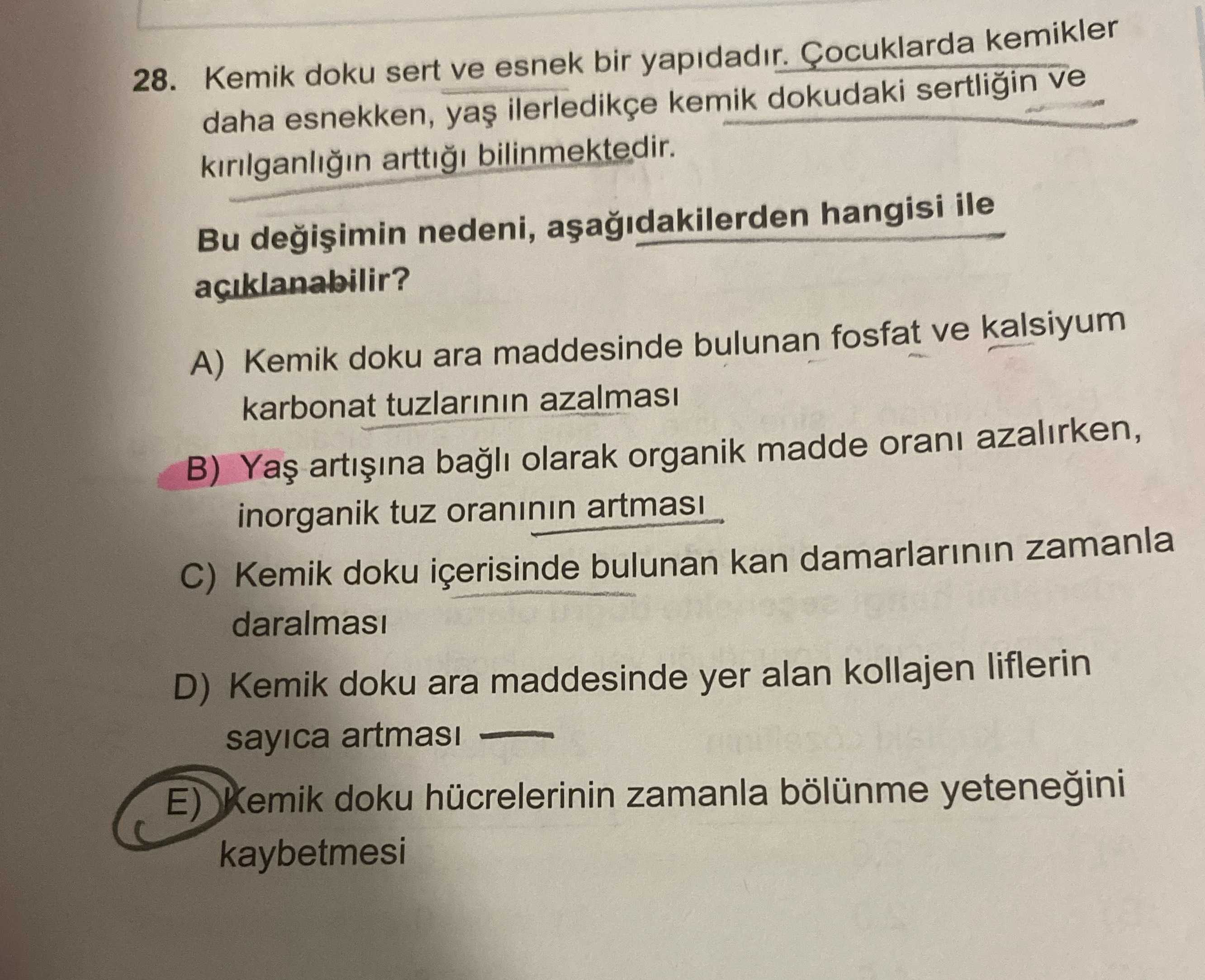 Kemik doku sert ve esnek bir yapıdadır. Çocuklarda kemikler daha esnekken, yaş ilerledikçe kemik