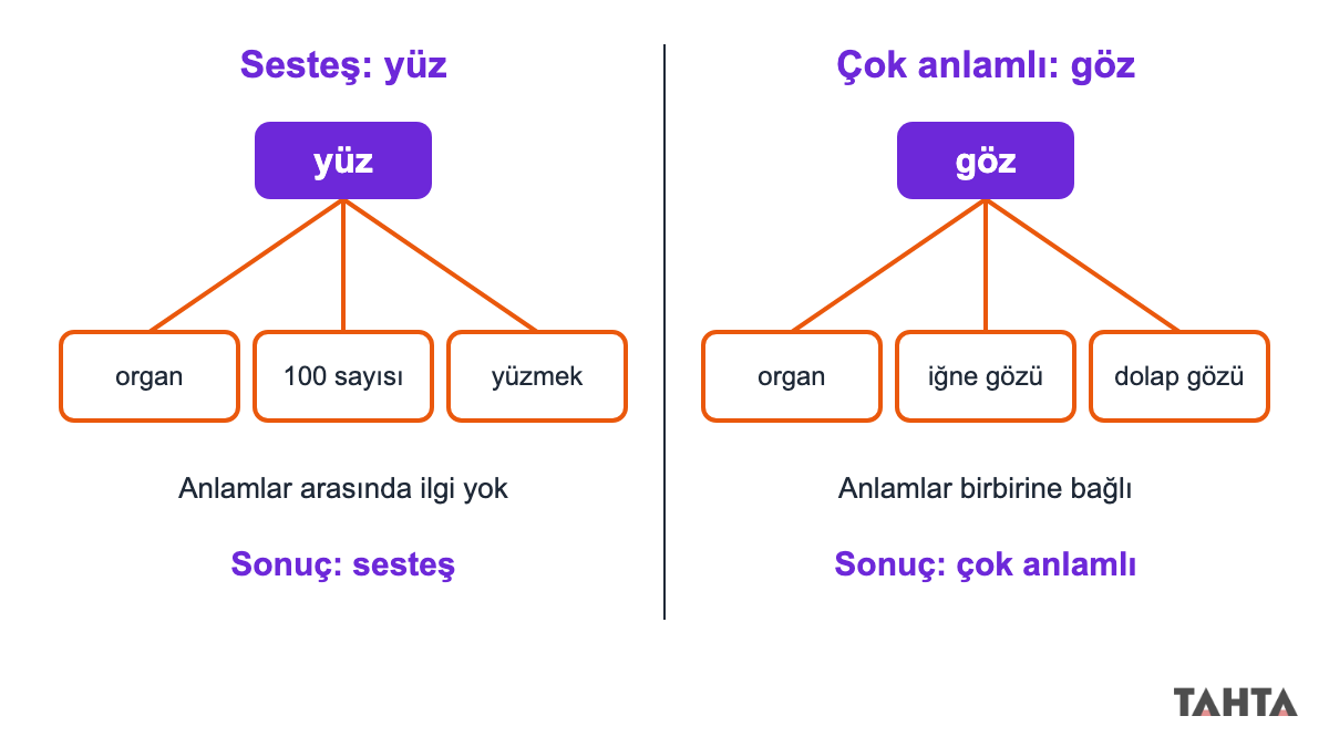 Sesteş yüz sözcüğü ile çok anlamlı göz sözcüğünün anlamlarını dallar hâlinde karşılaştıran şema