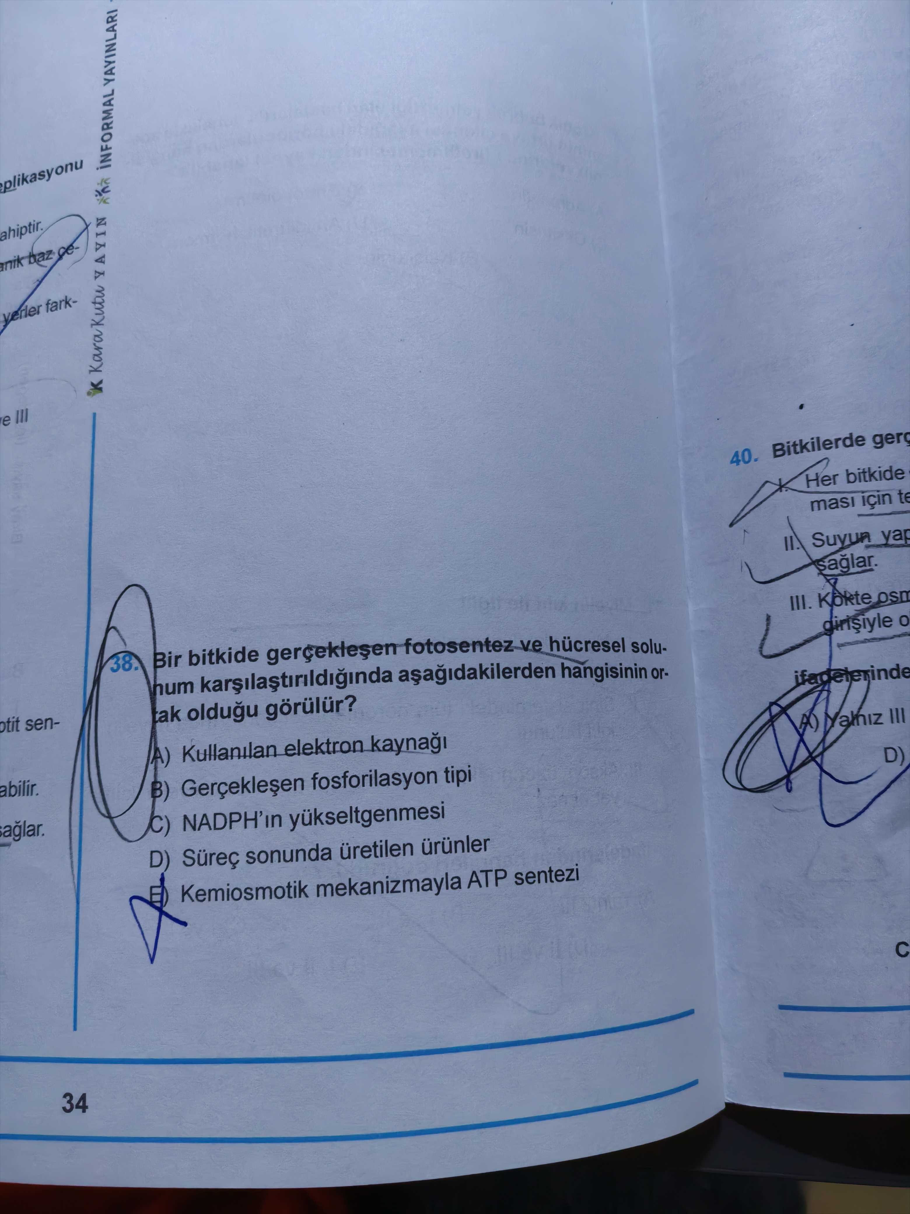 Bir bitkide gerçekleşen fotosentez ve hücresel solunum karşılaştırıldığında aşağıdakilerden