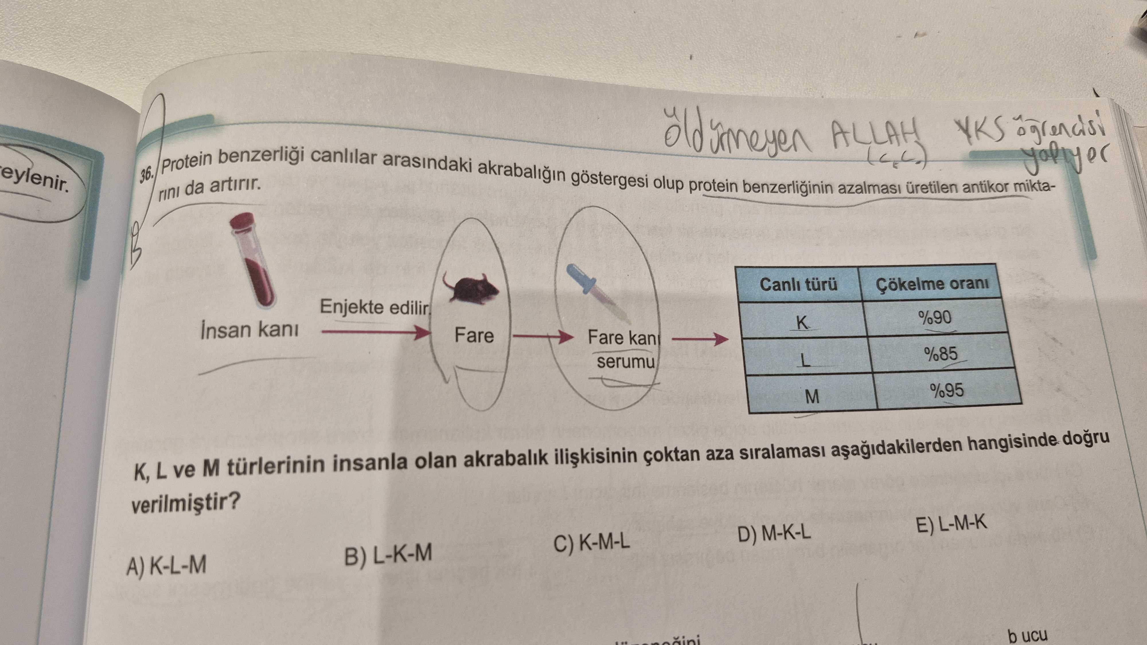 Protein benzerliği canlılar arasındaki akrabalığın göstergesi olup protein benzerliğinin azalması