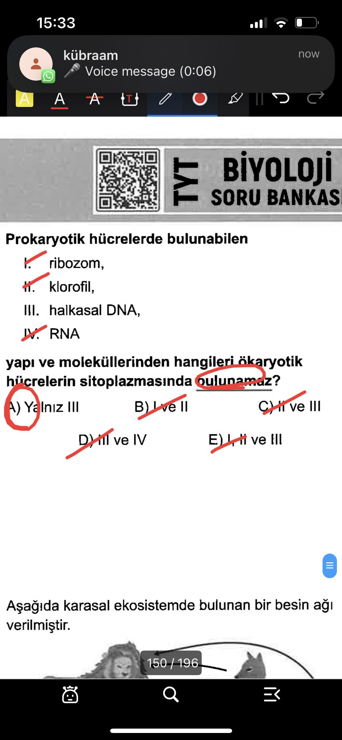Prokaryotik hücrelerde bulunabilen I. ribozom, II. klorofil, III. halkasal DNA, IV. RNA yapı ve