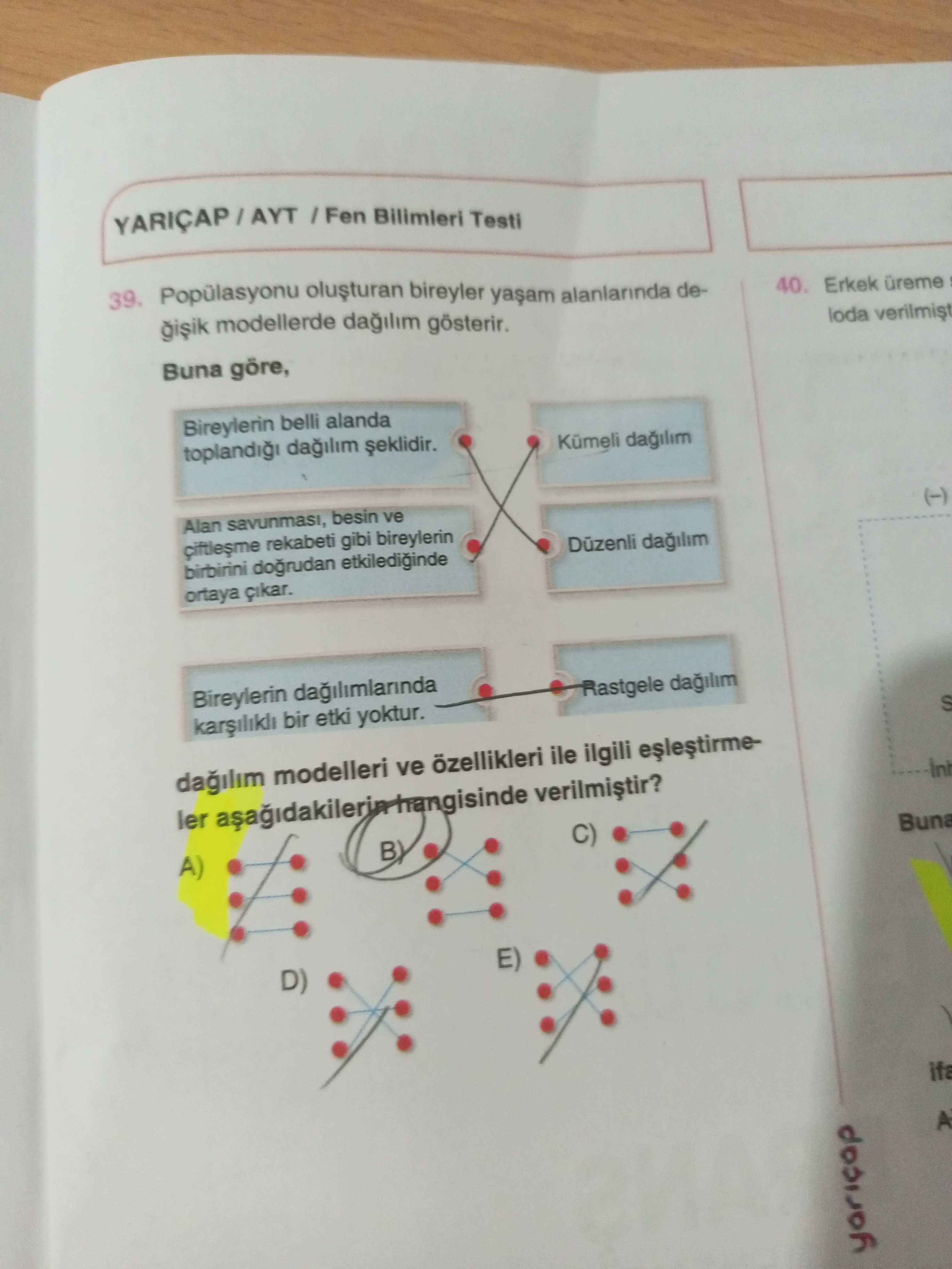 Popülasyonu oluşturan bireyler yaşam alanlarında değişik modellerde dağılım gösterir. Buna göre
