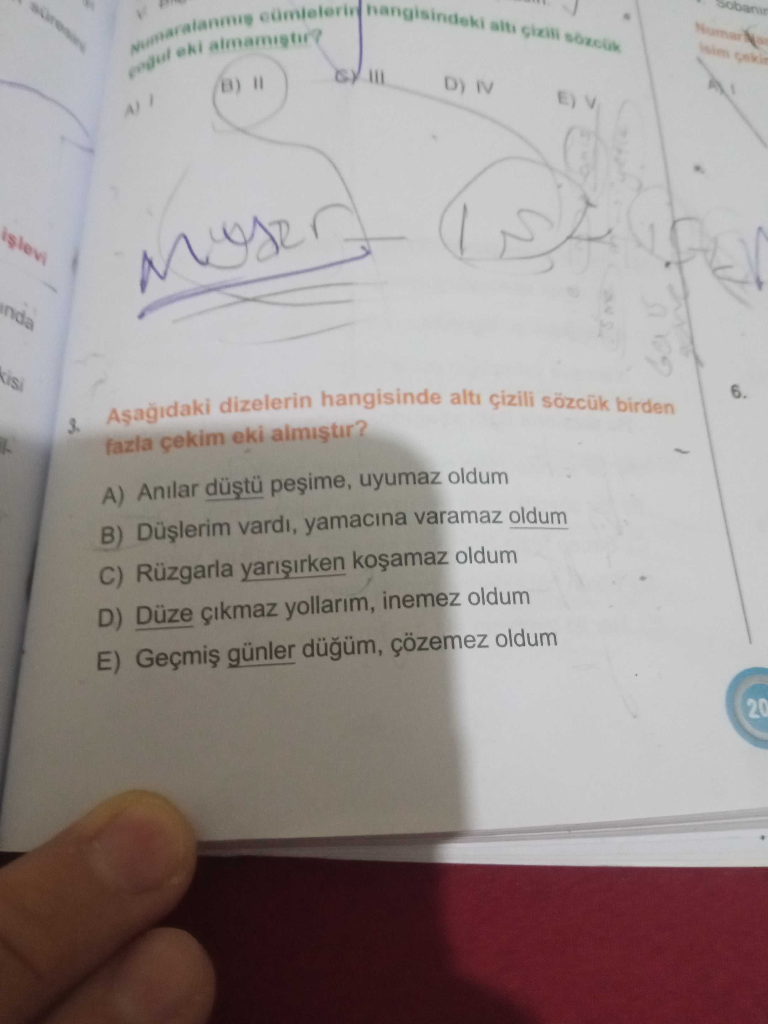Türkçe (Mezun)