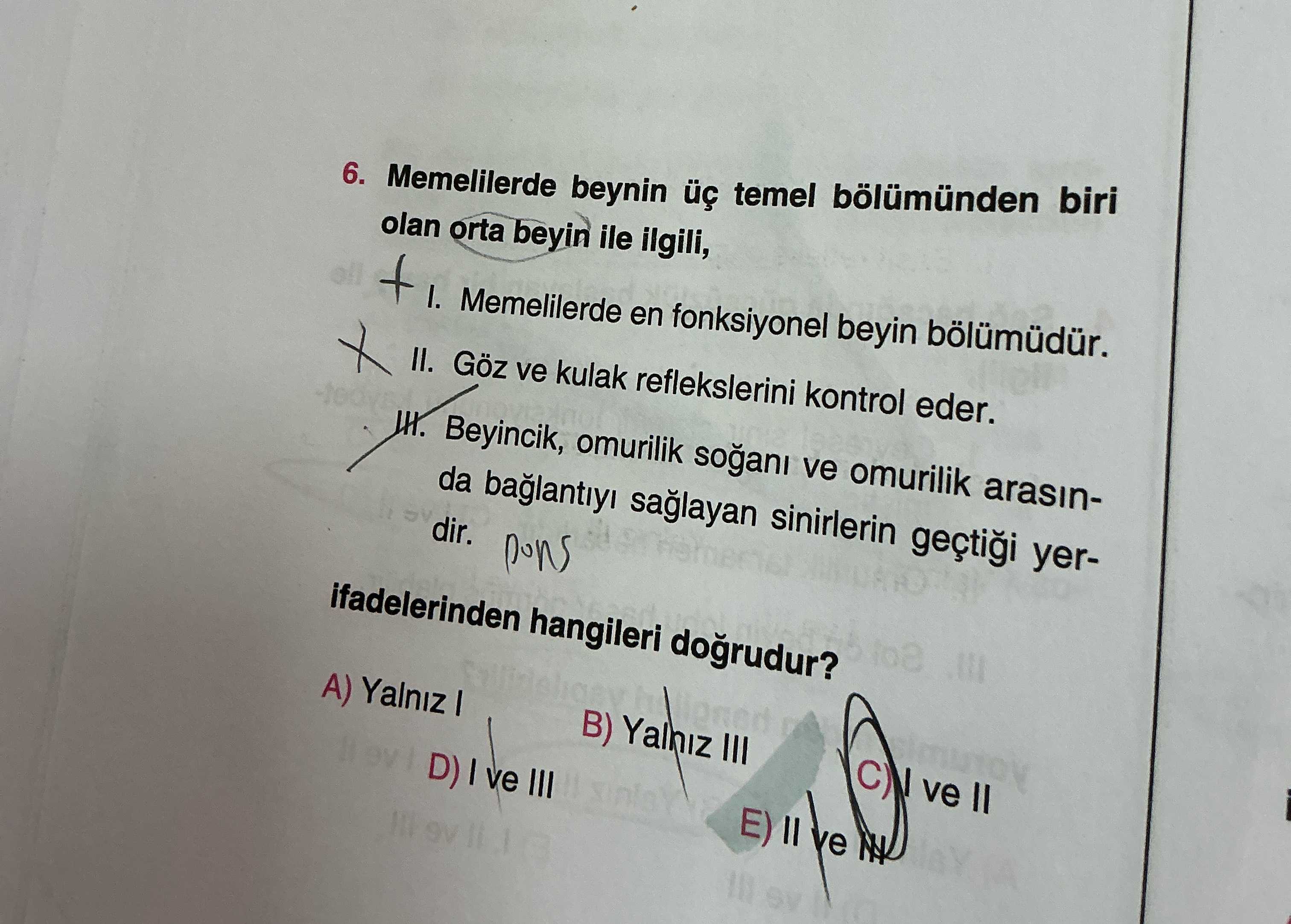 Memelilerde beynin üç temel bölümünden biri olan orta beyin ile ilgili; I. Memelilerde en