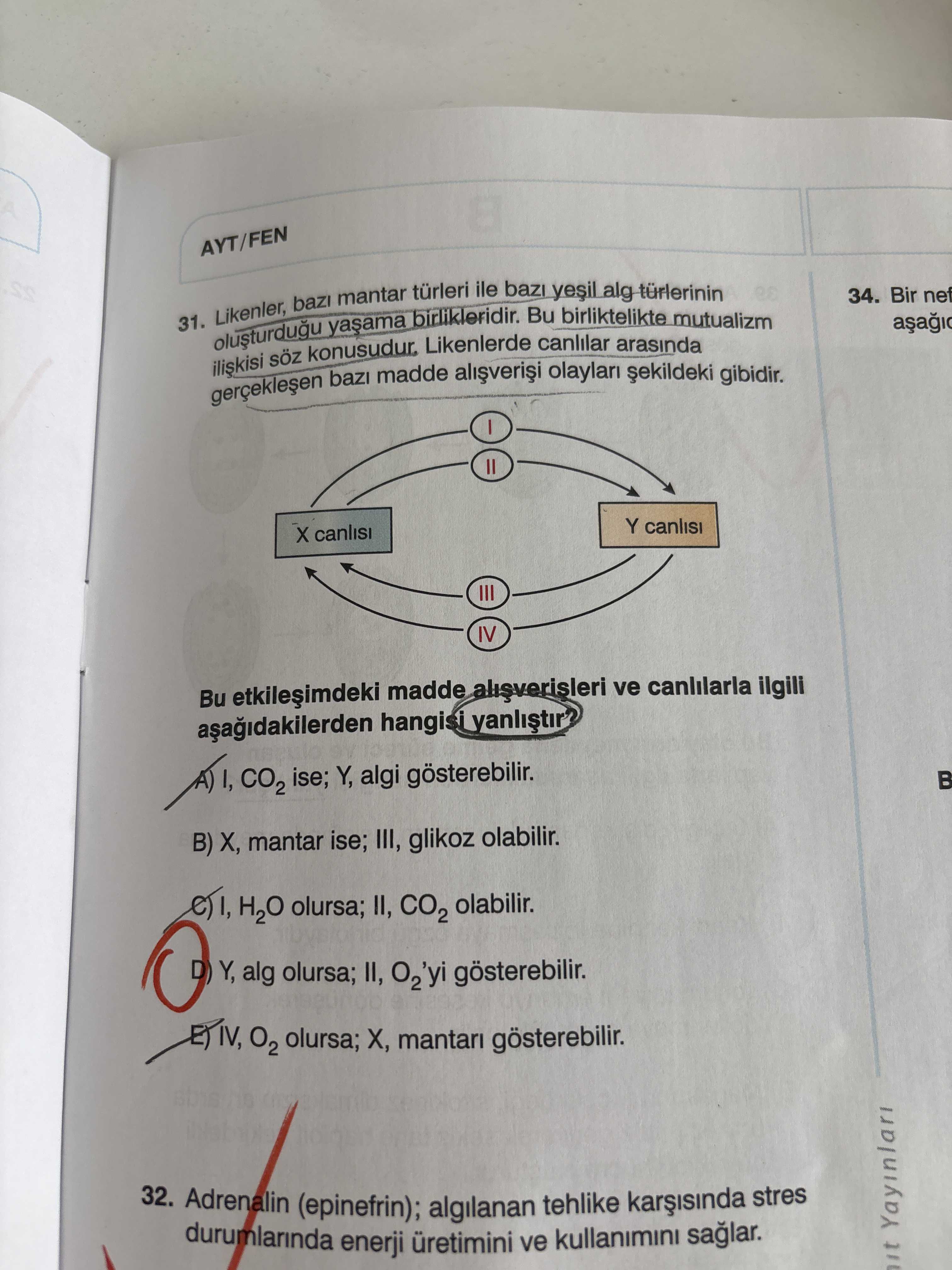 Likenler, bazı mantar türleri ile bazı yeşil alg türlerinin oluşturduğu yaşama birlikleridir. Bu