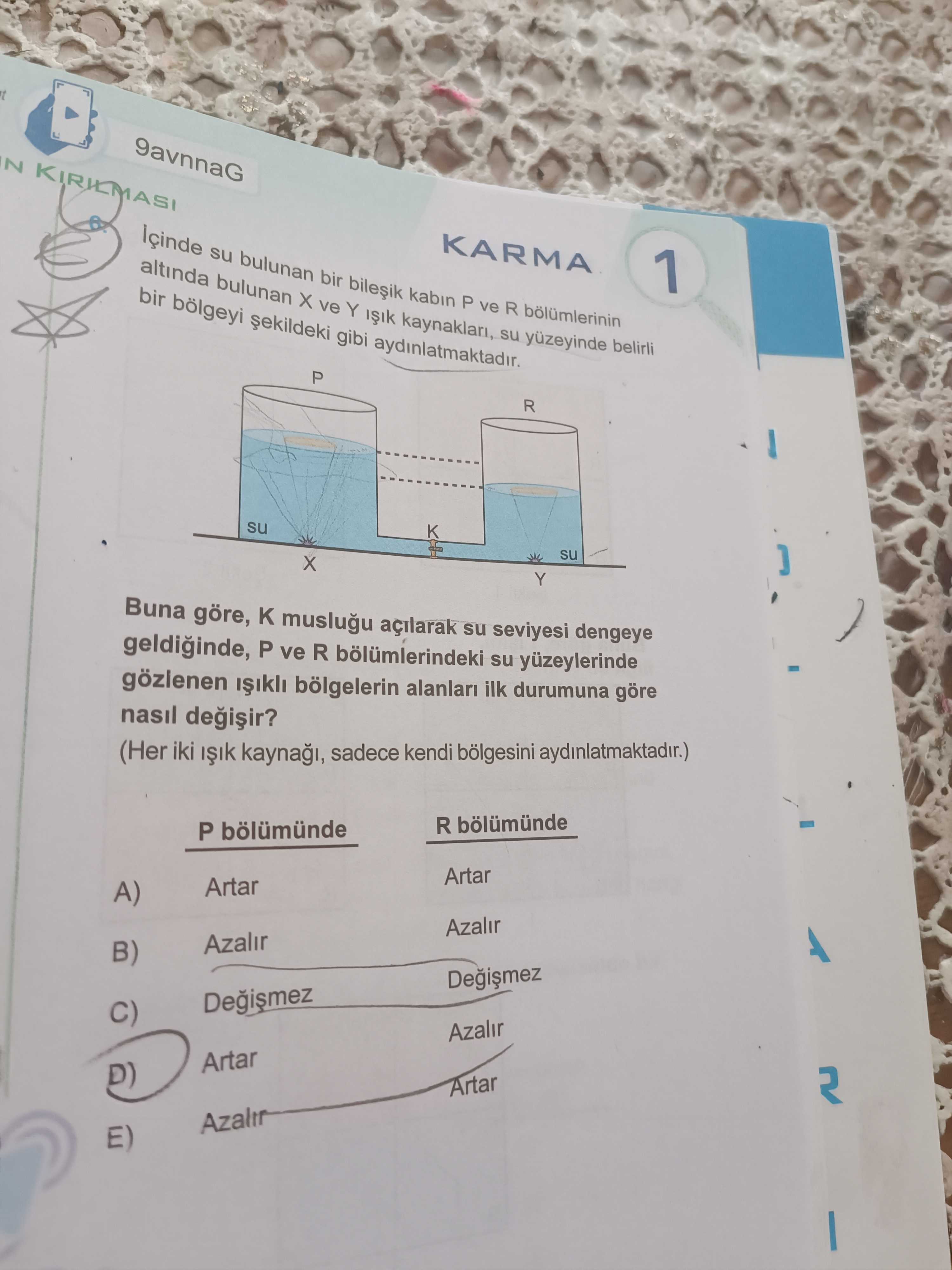 İçinde su bulunan bir bileşik kabın P ve R bölümlerinin altında bulunan X ve Y ışık kaynakları, su