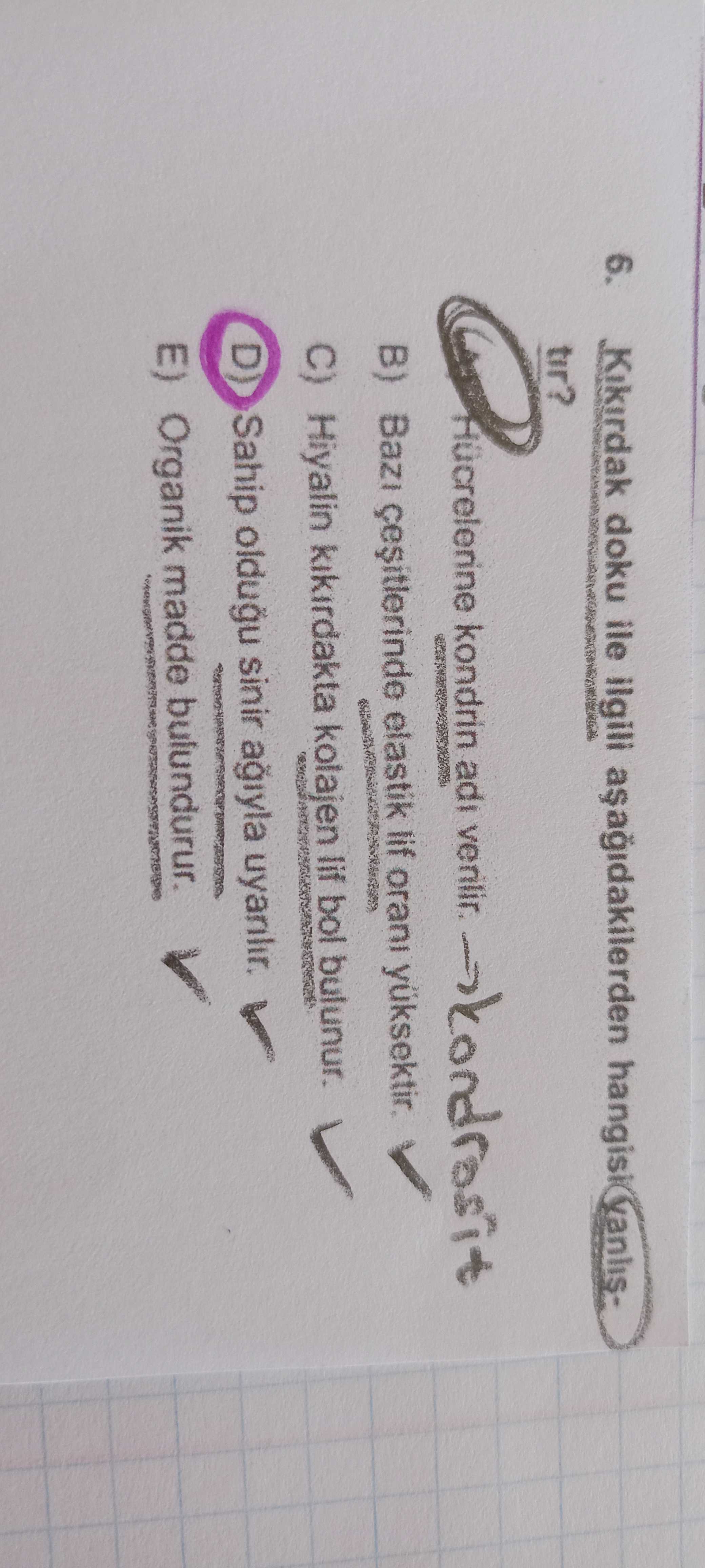 Biyoloji (11. Sınıf)