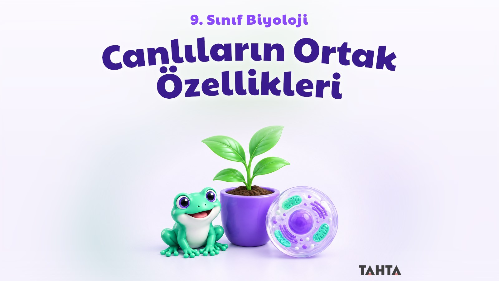 Saksıdaki fide, sevimli kurbağa ve hücre modeliyle canlıların ortak özellikleri kapak görseli